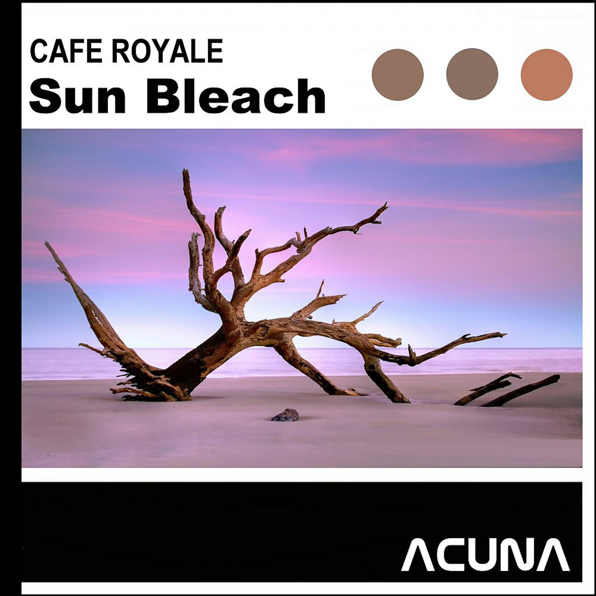 Постер альбома Sun Bleach