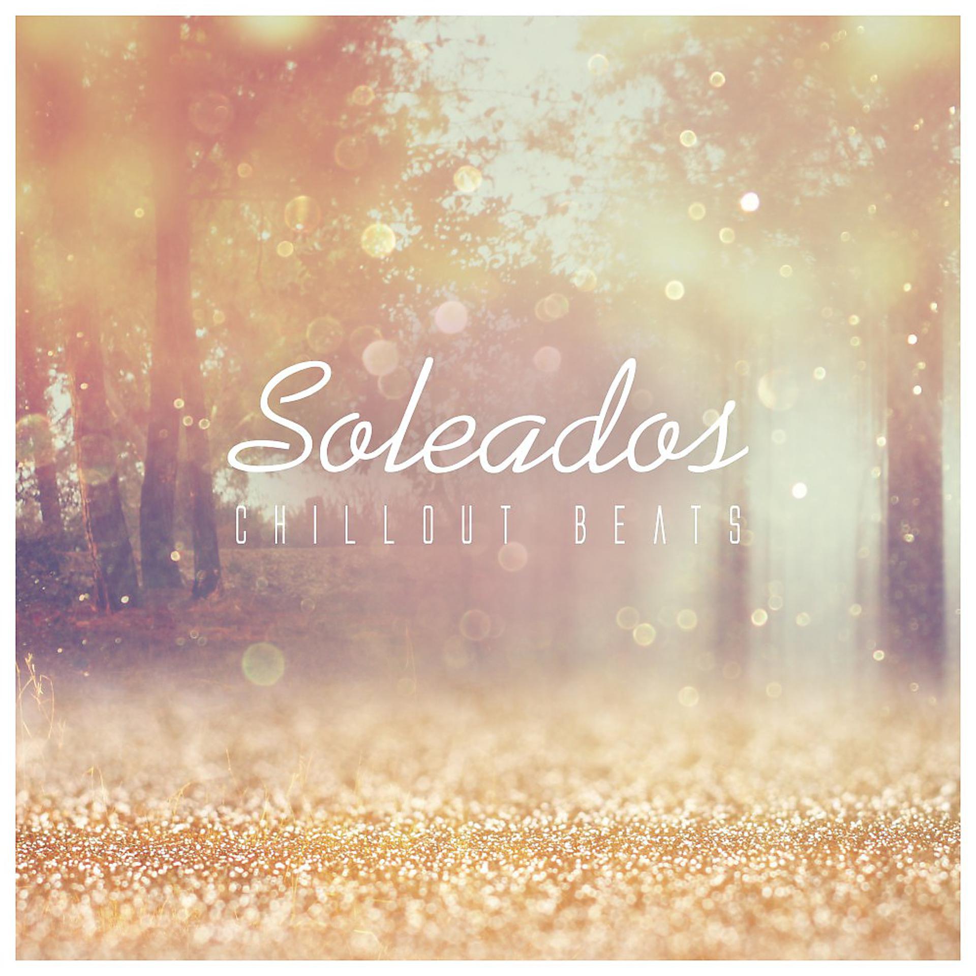 Постер альбома Soleados Chillout Beats
