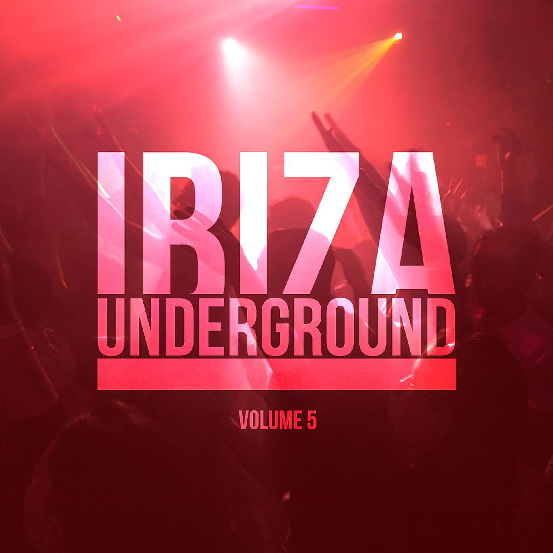 Постер альбома Ibiza Underground, Vol. 5
