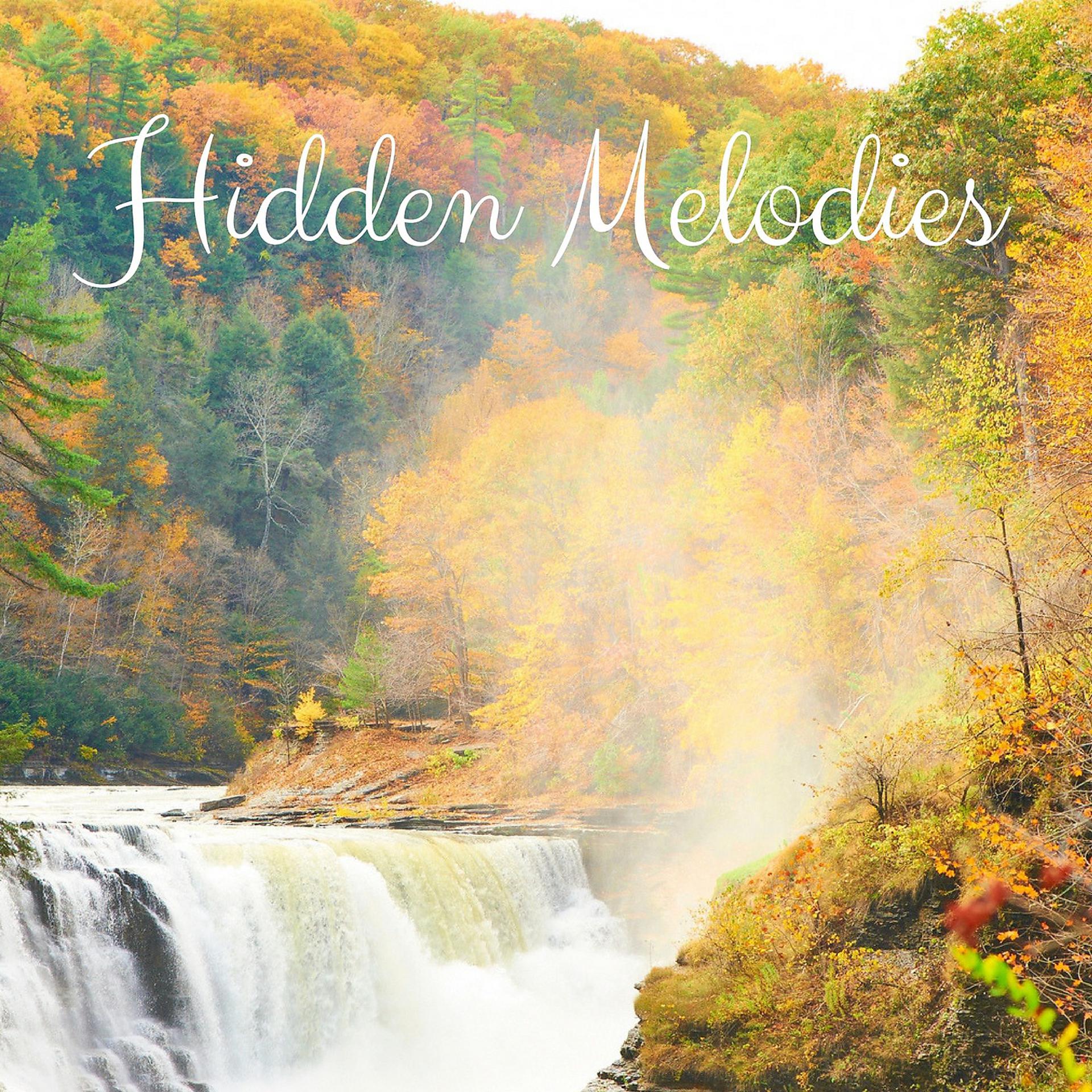 Постер альбома Hidden Melodies