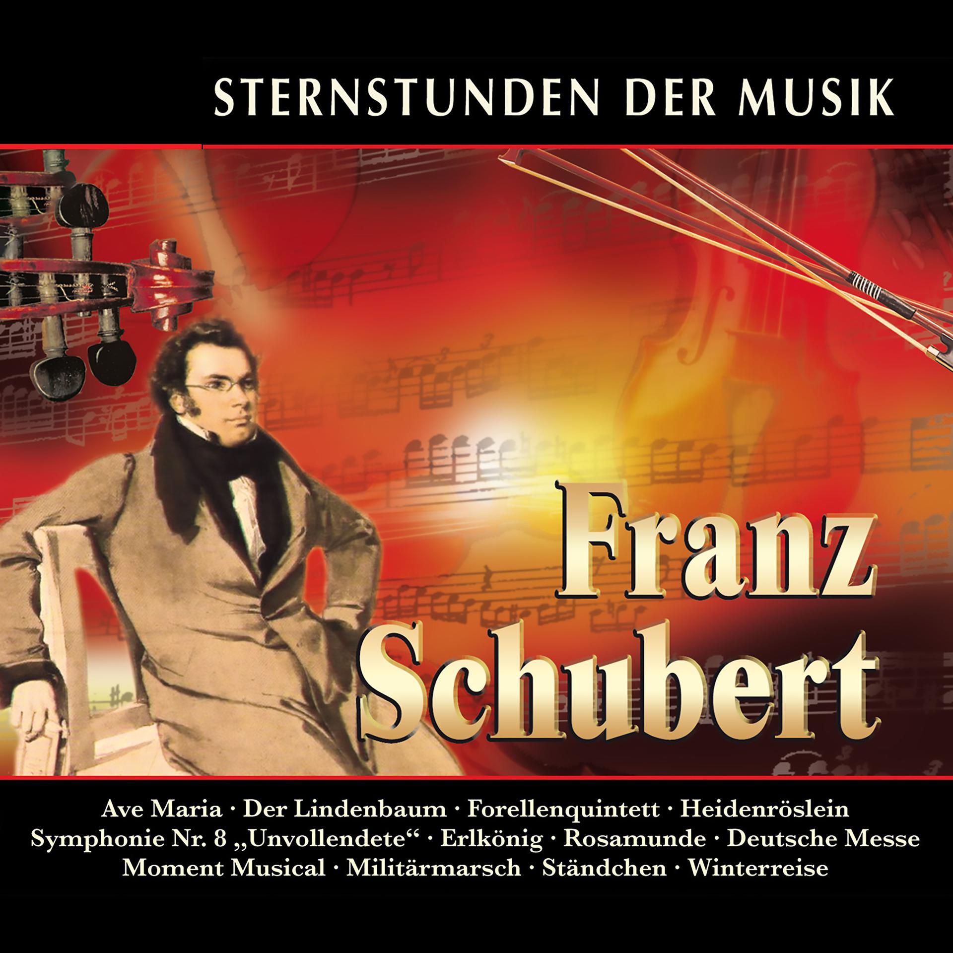 Постер альбома Sternstunden der Musik: Franz Schubert