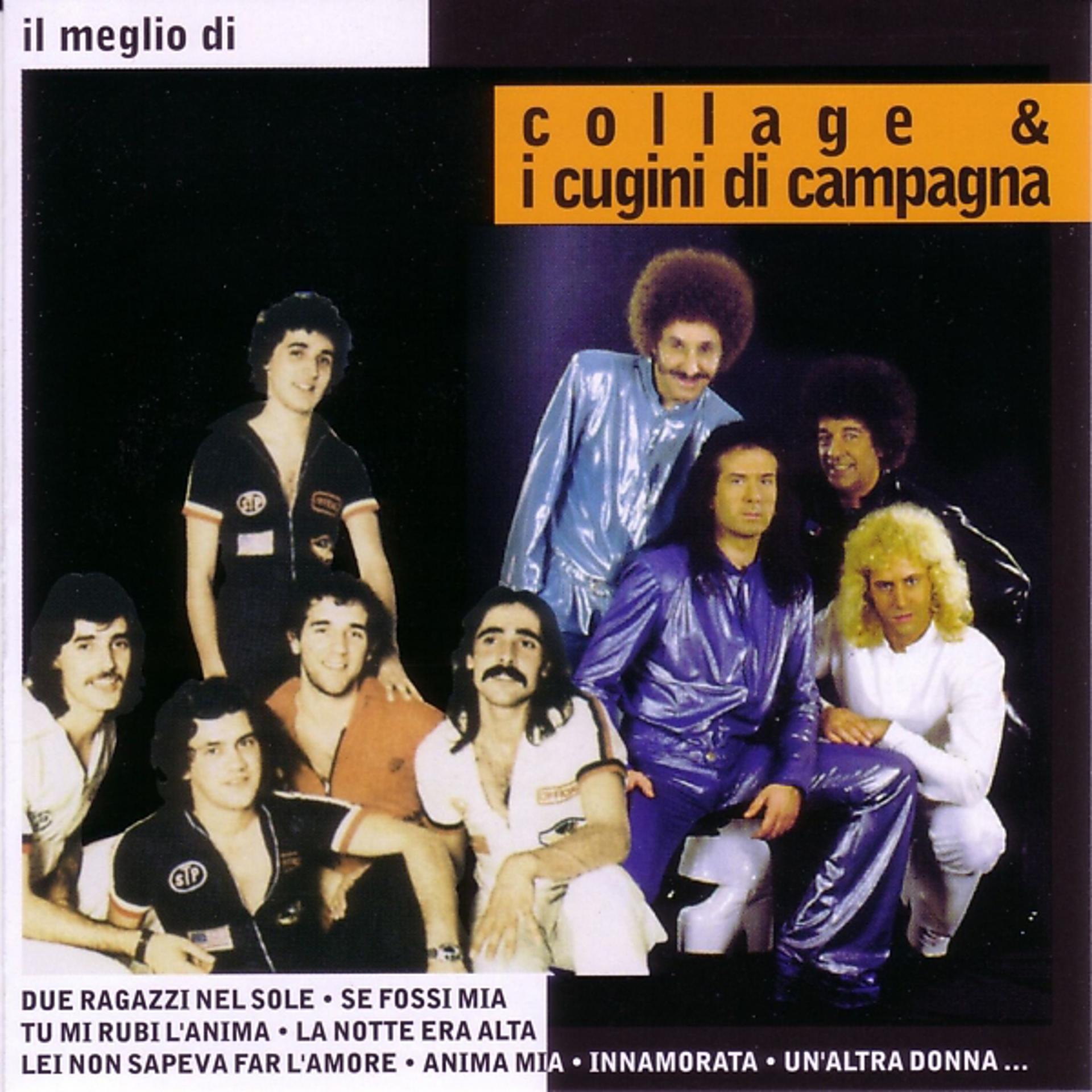 Постер альбома Il  meglio di Collage & I Cugini di Campagna