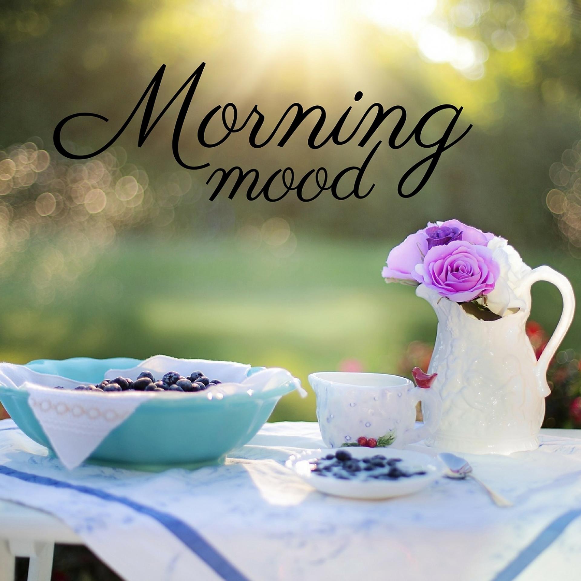 Постер альбома Morning Mood | Classical Music