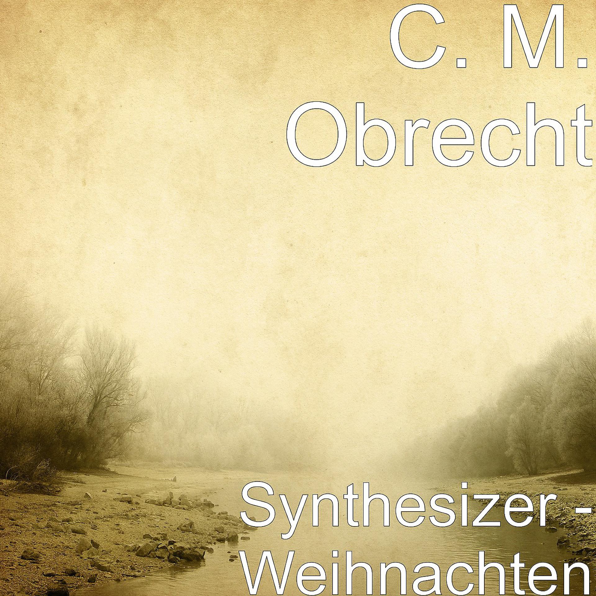 Постер альбома Synthesizer - Weihnachten