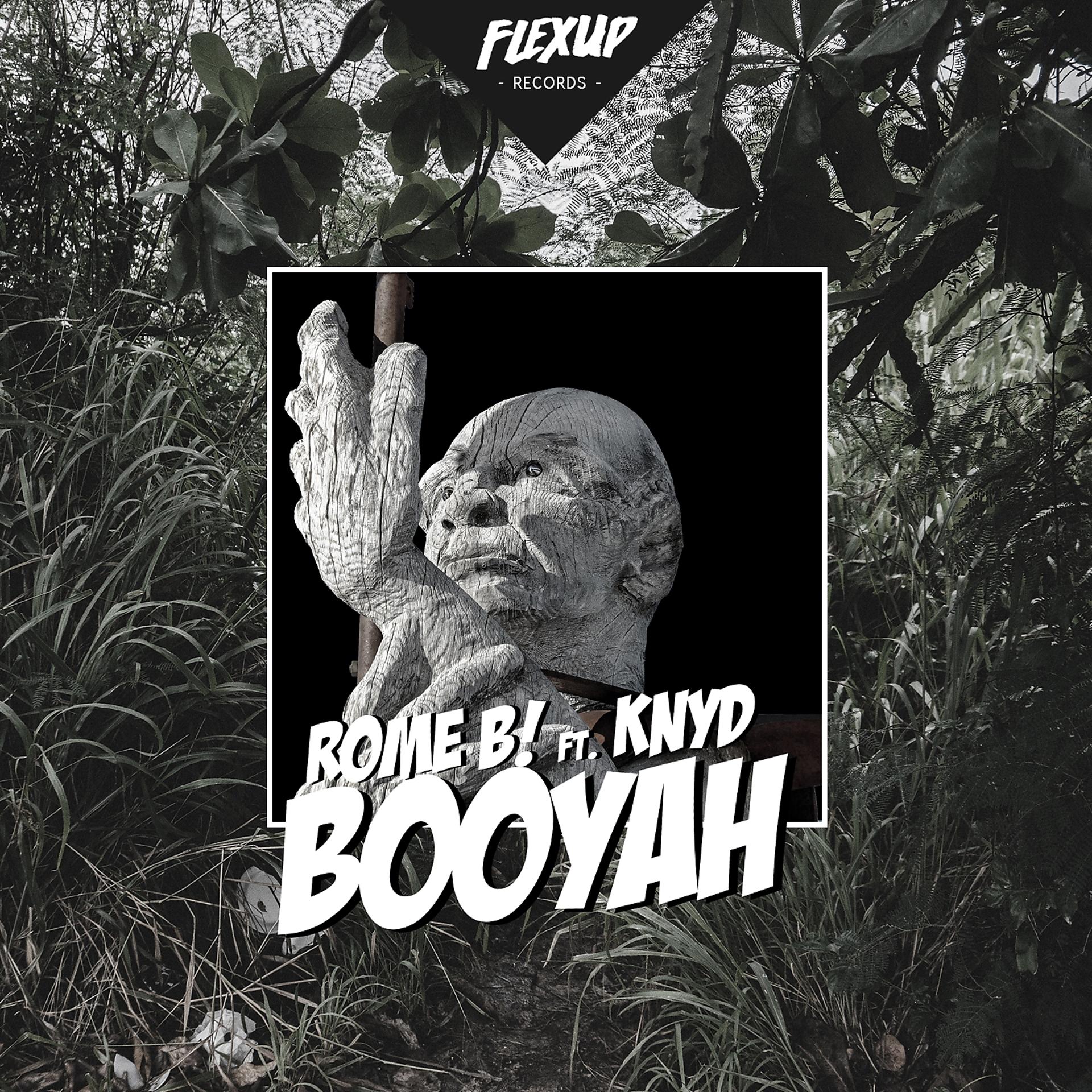 Постер альбома Booyah