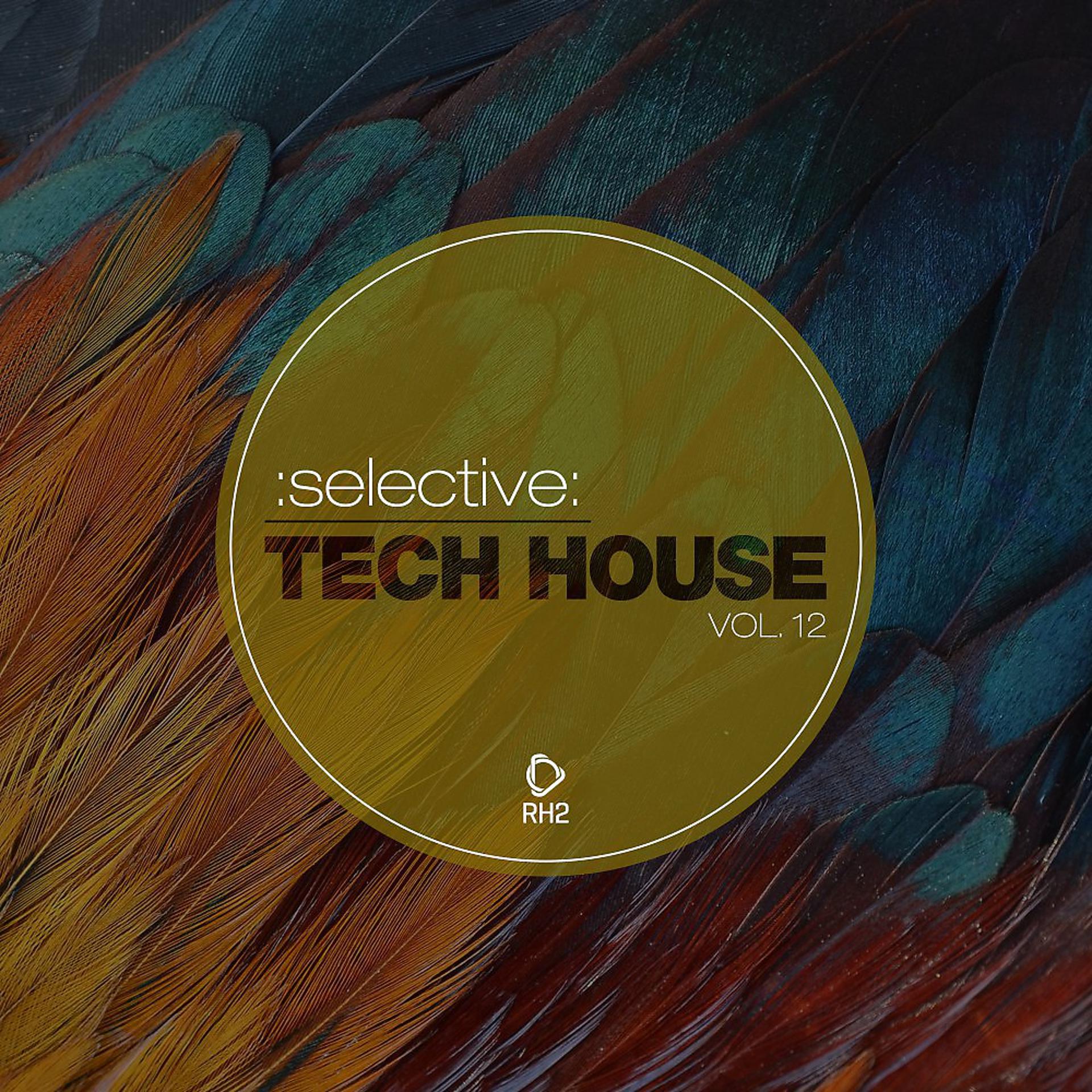 Постер альбома Selective: Tech House, Vol. 12