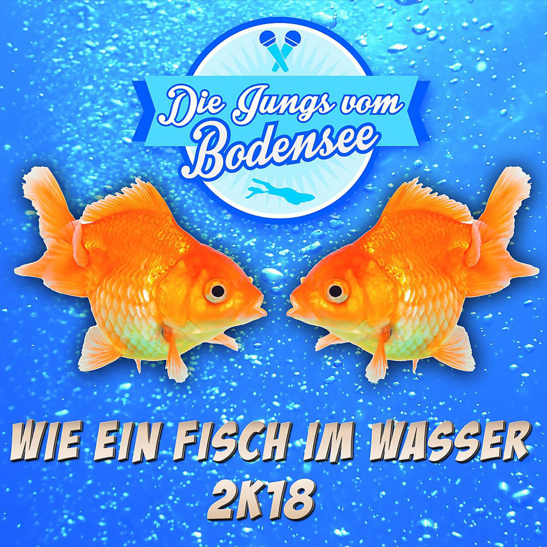 Постер альбома Wie ein Fisch im Wasser 2k18