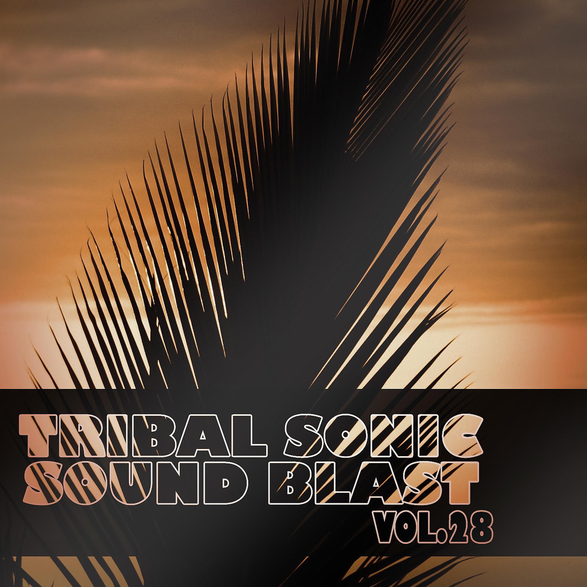 Постер альбома Tribal Sonic Soundblast,Vol.28