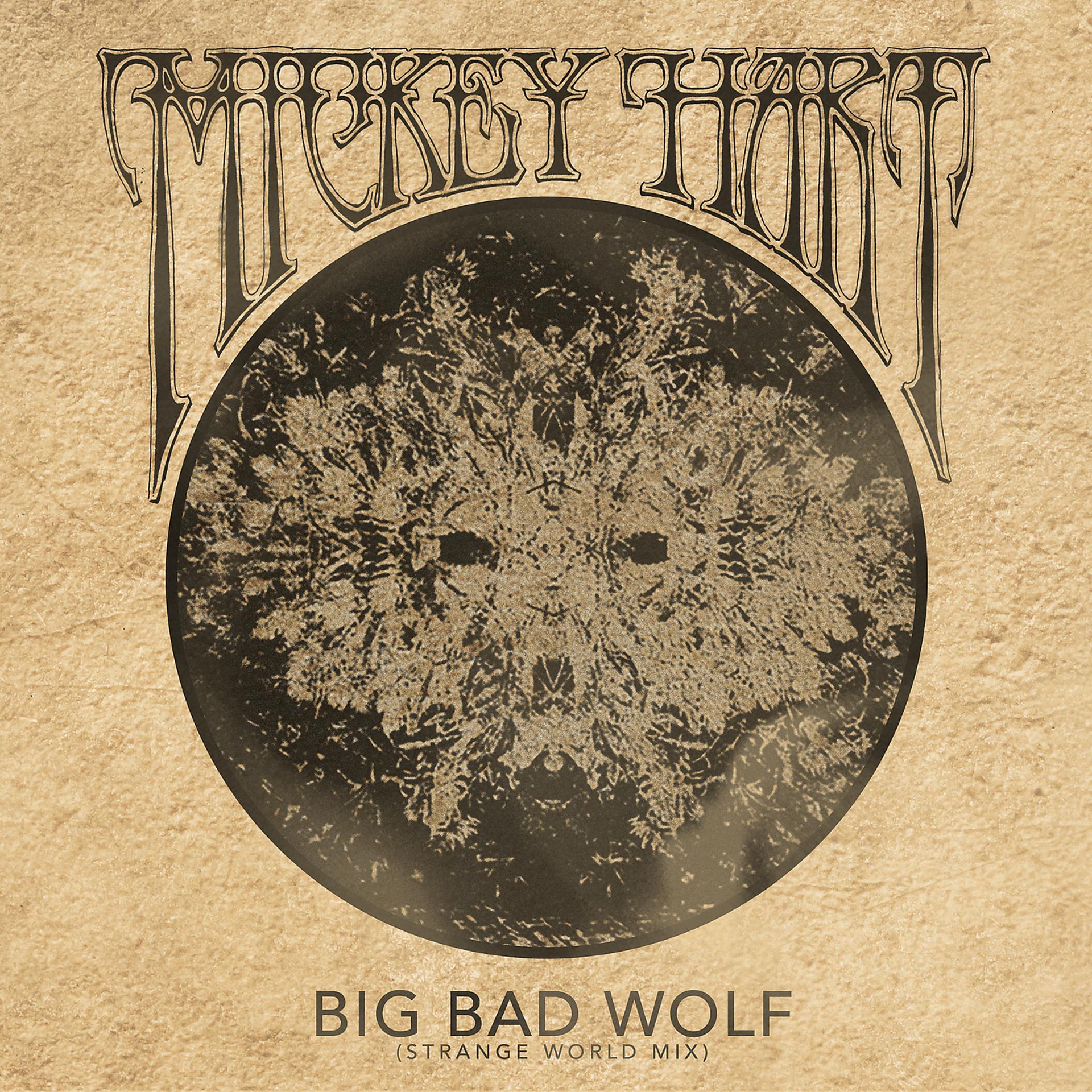 Постер альбома Big Bad Wolf