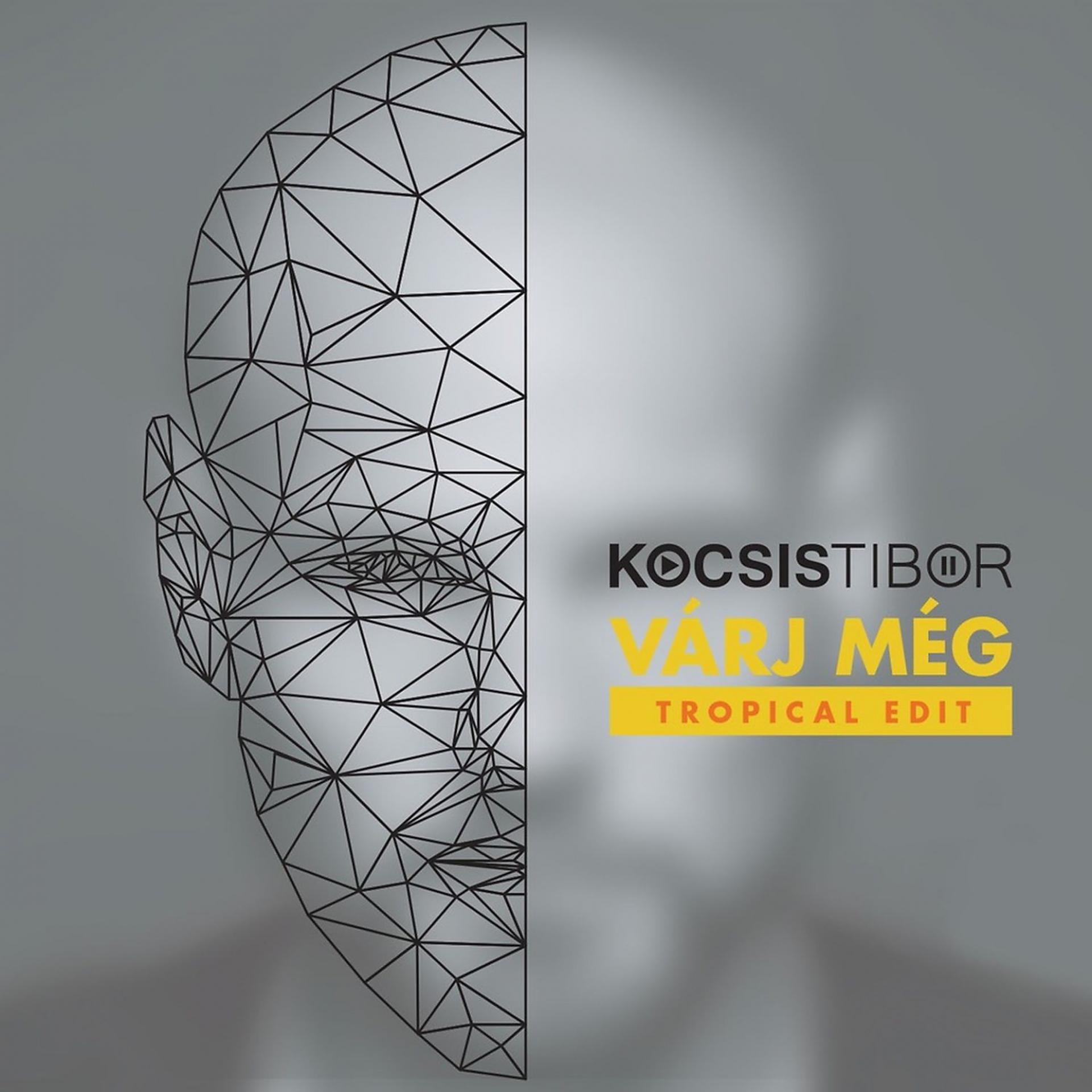 Постер альбома Várj Még