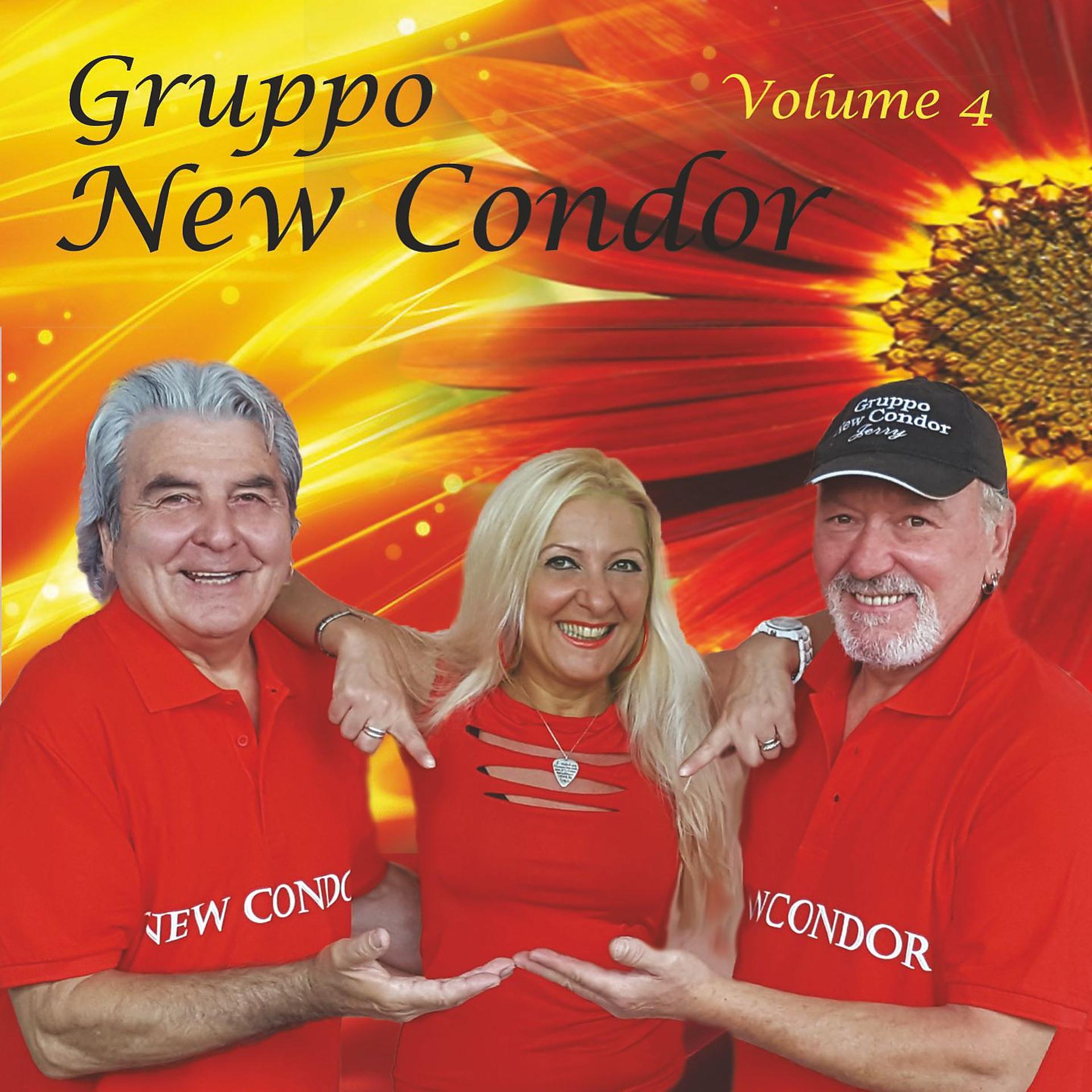 Постер альбома Gruppo New Condor, Vol. 4