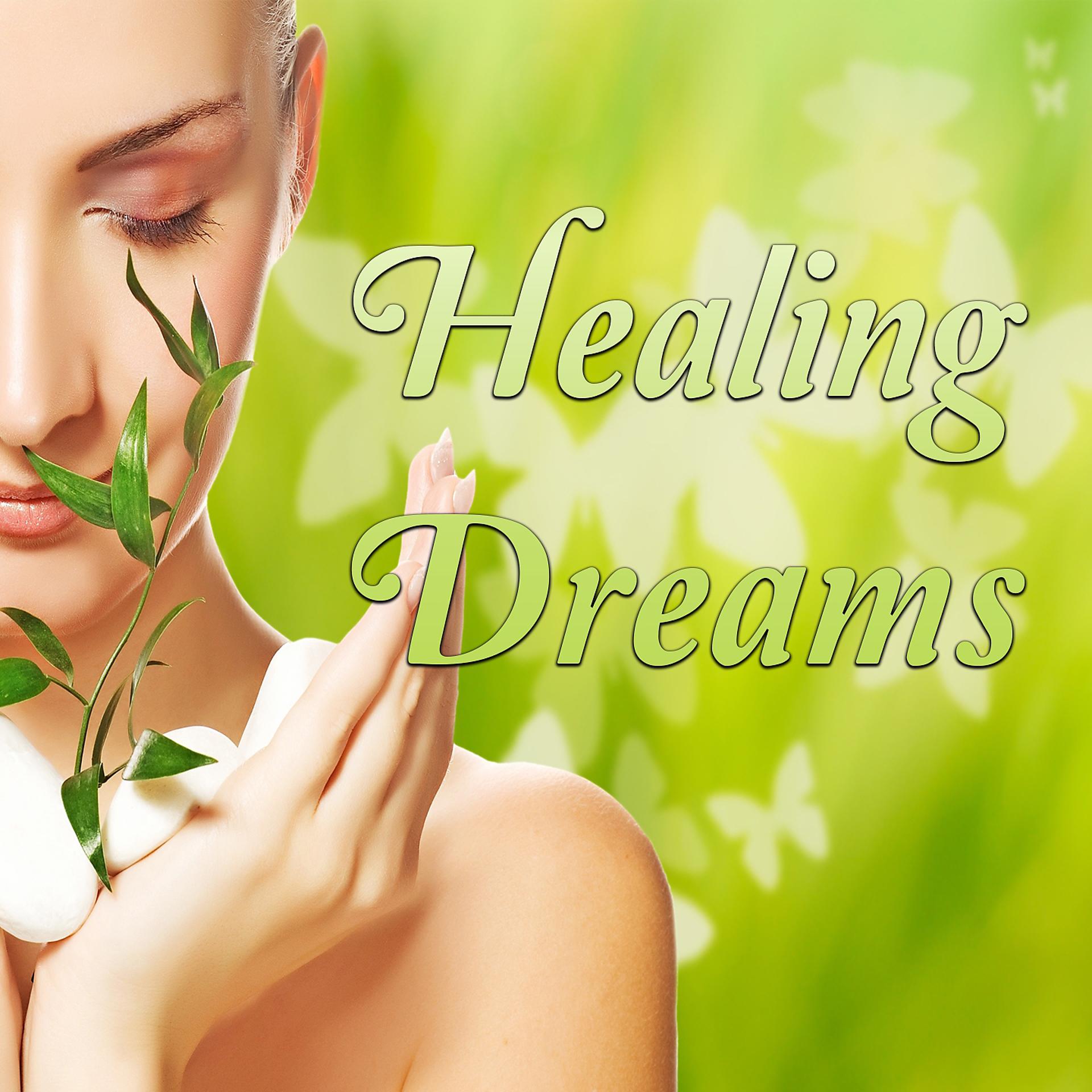 Постер альбома Healing Dreams