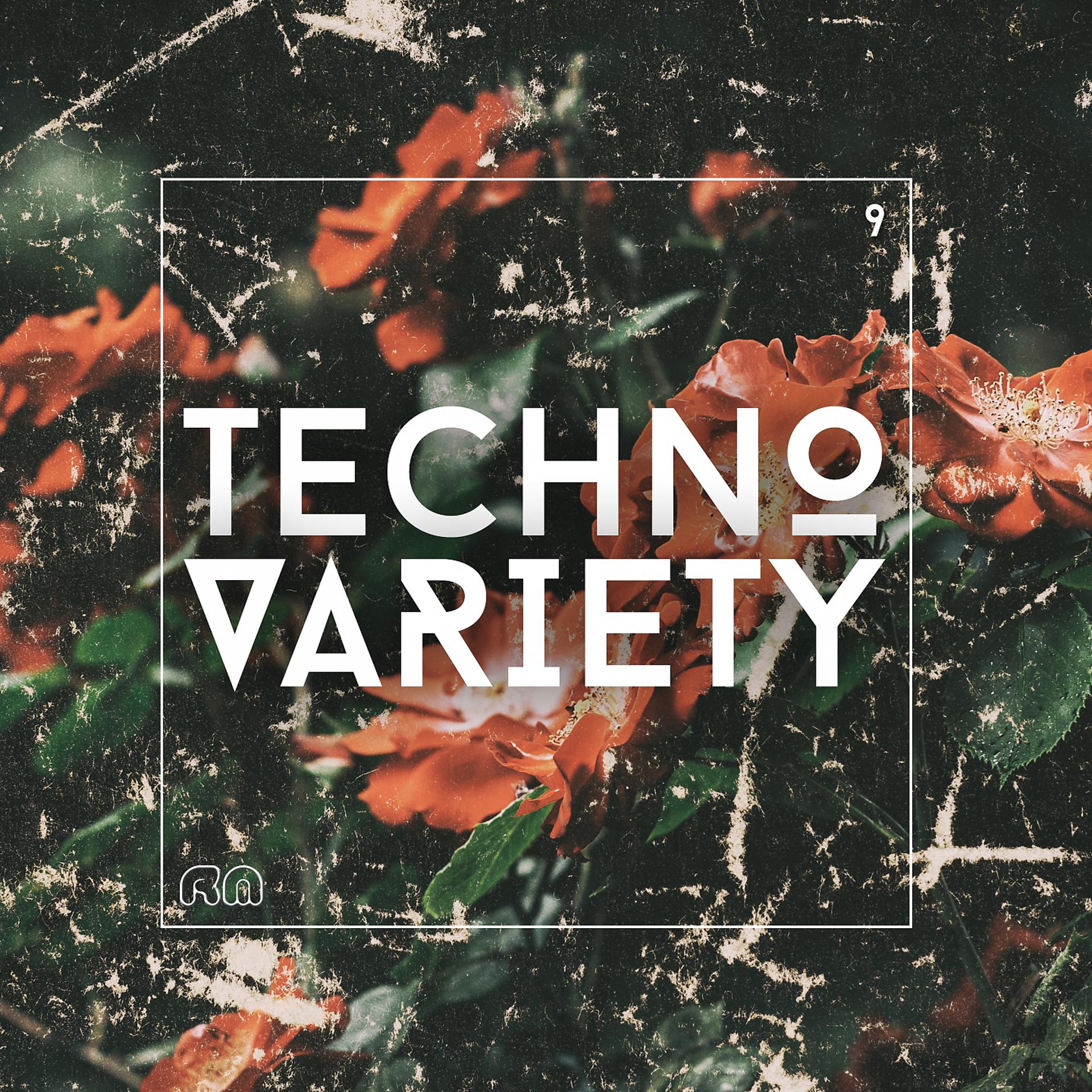 Постер альбома Techno Variety #9