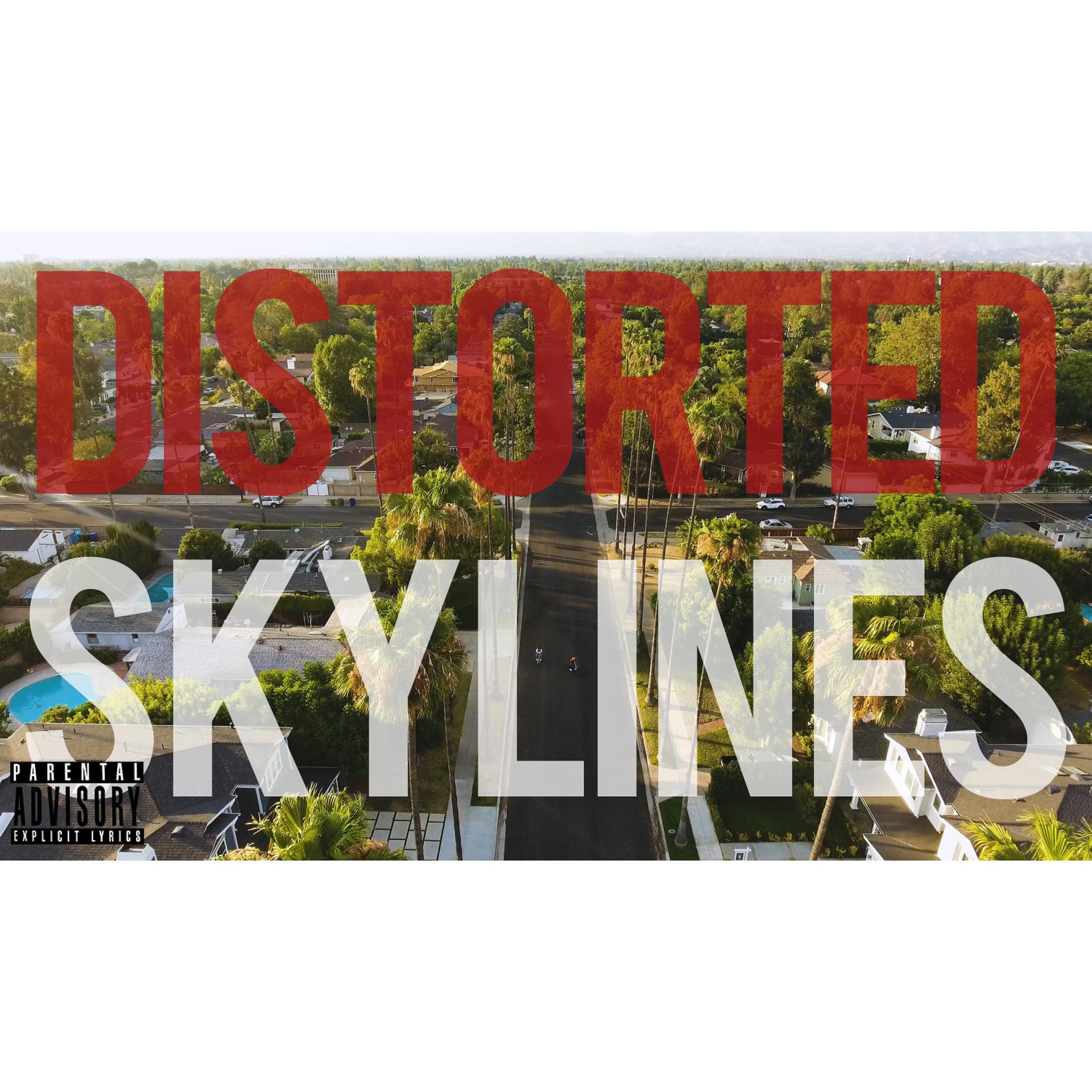 Постер альбома Distorted Skylines