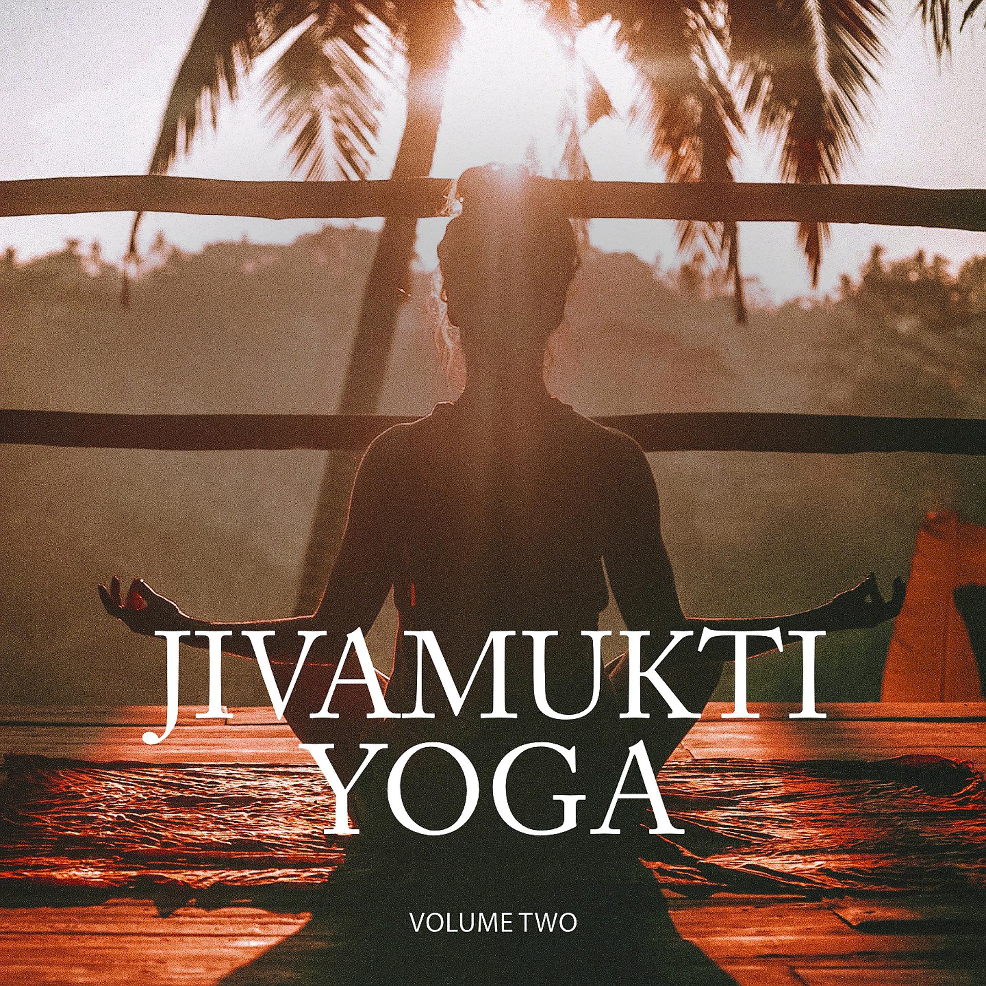Постер альбома Jivamukti Yoga, Vol. 2