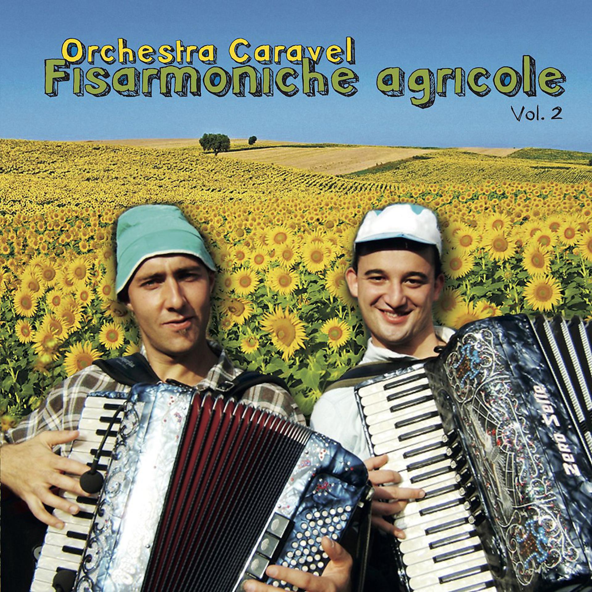 Постер альбома Fisarmoniche Agricole Vol. 2