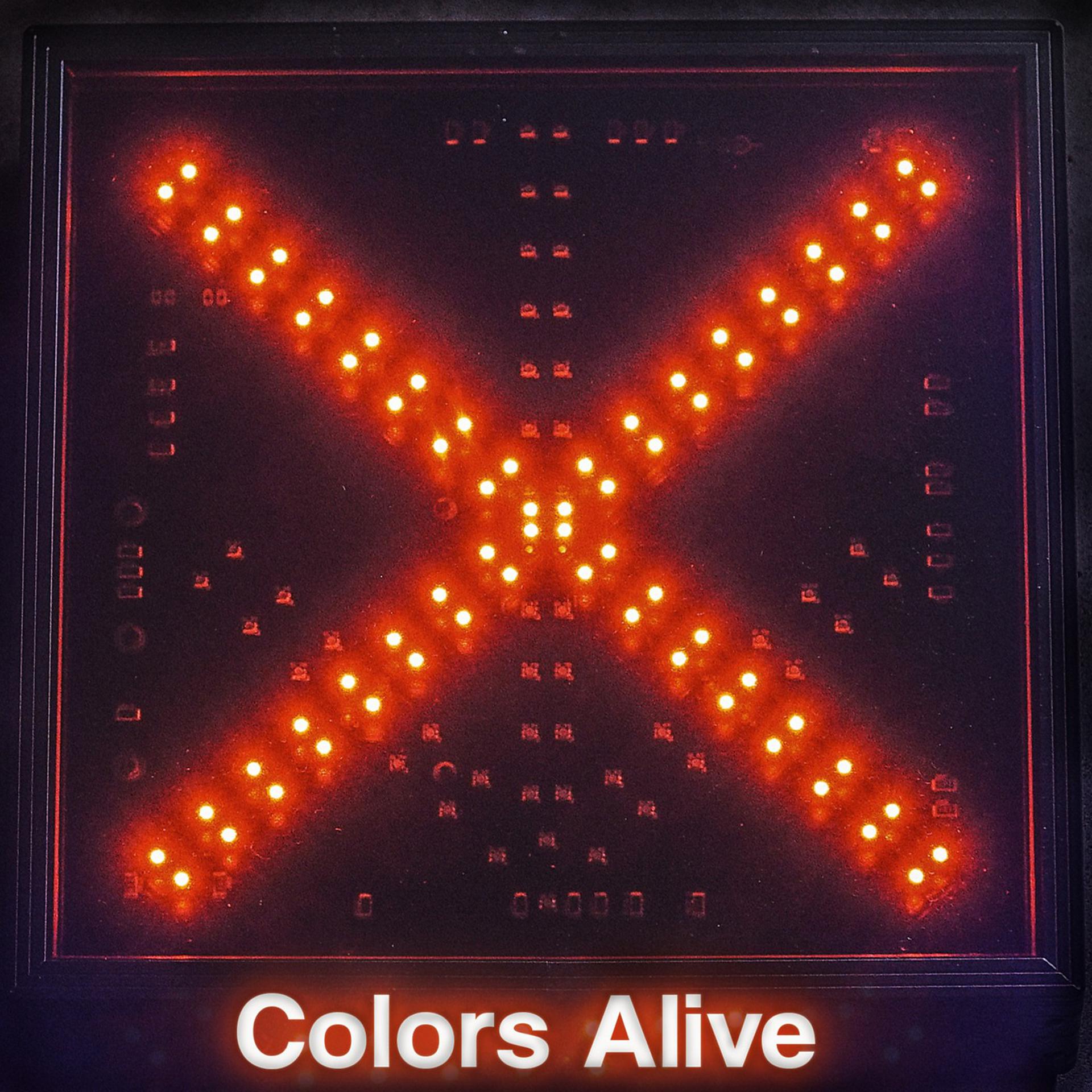 Постер альбома Colors Alive