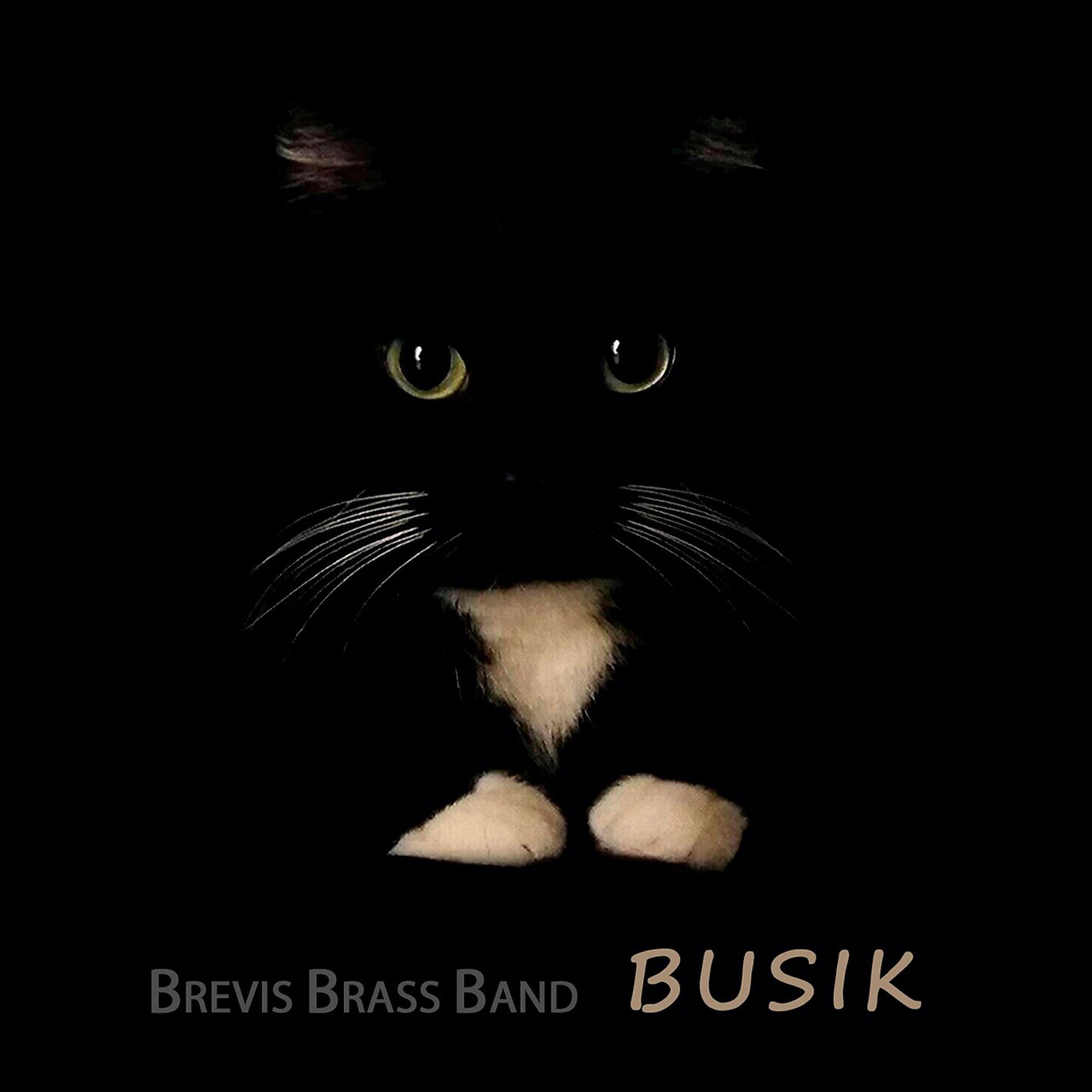 Постер альбома Busik