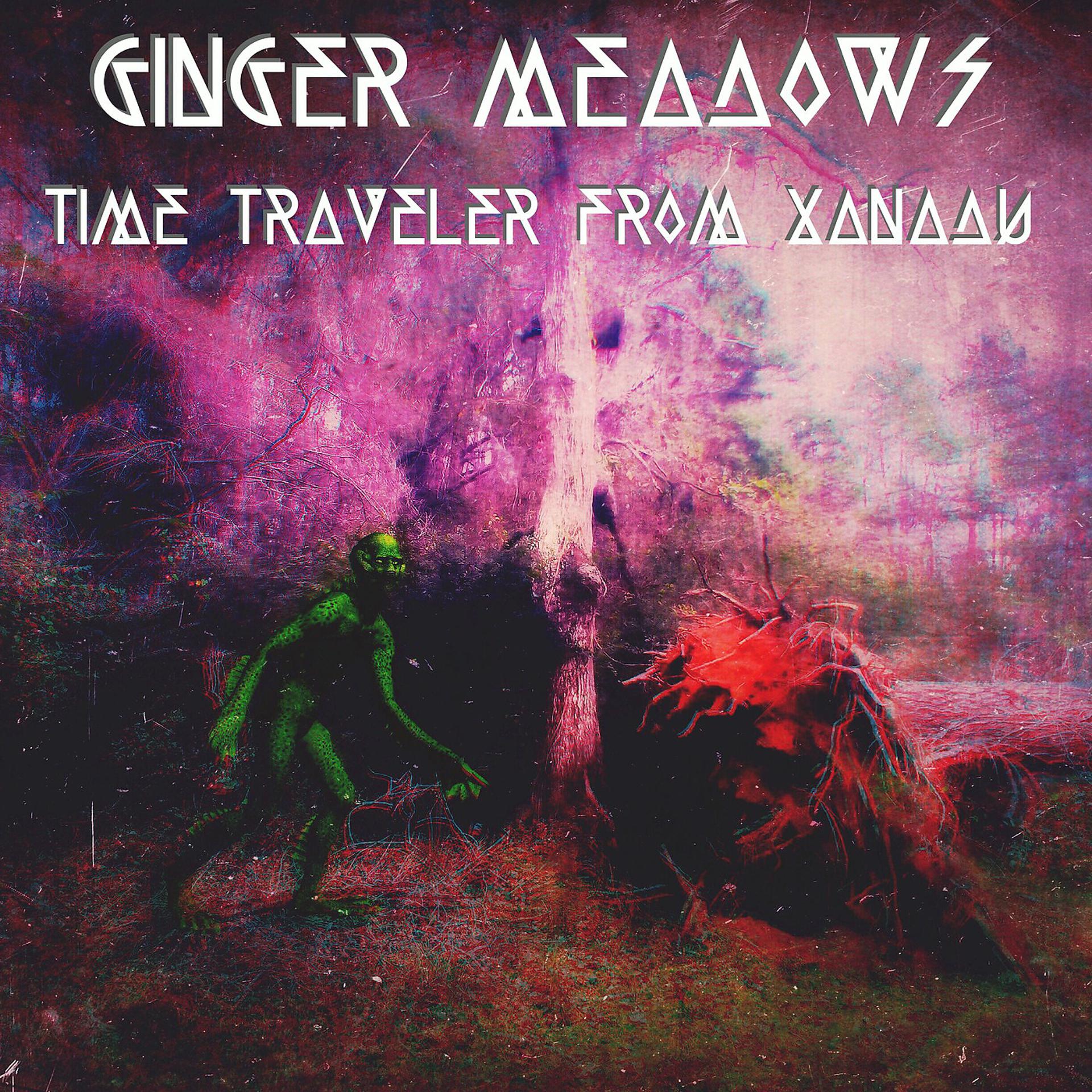 Постер альбома Time Traveler from Xanadu