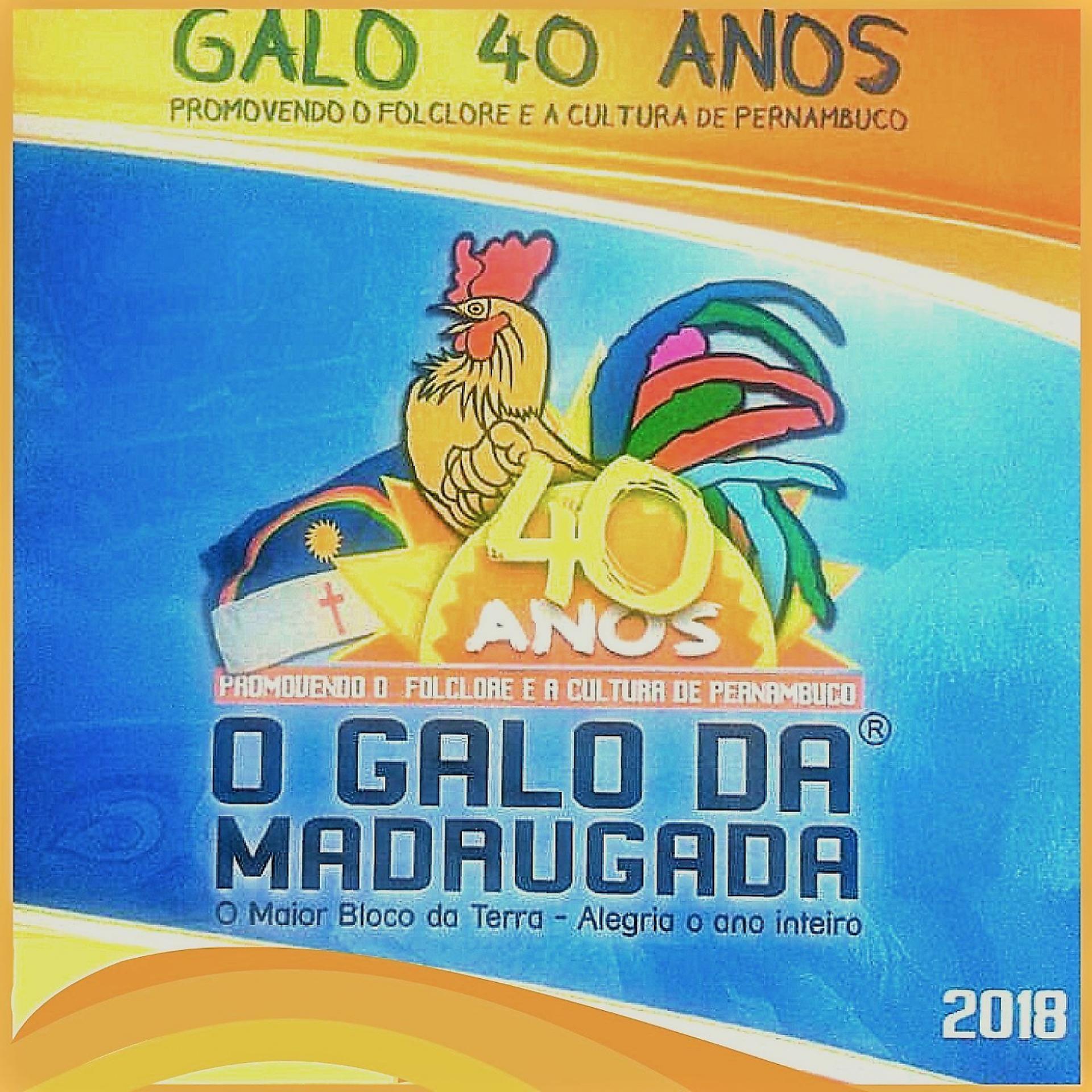 Постер альбома Galo 40 Anos: Promovendo o Folclore e a Cultura de Pernambuco