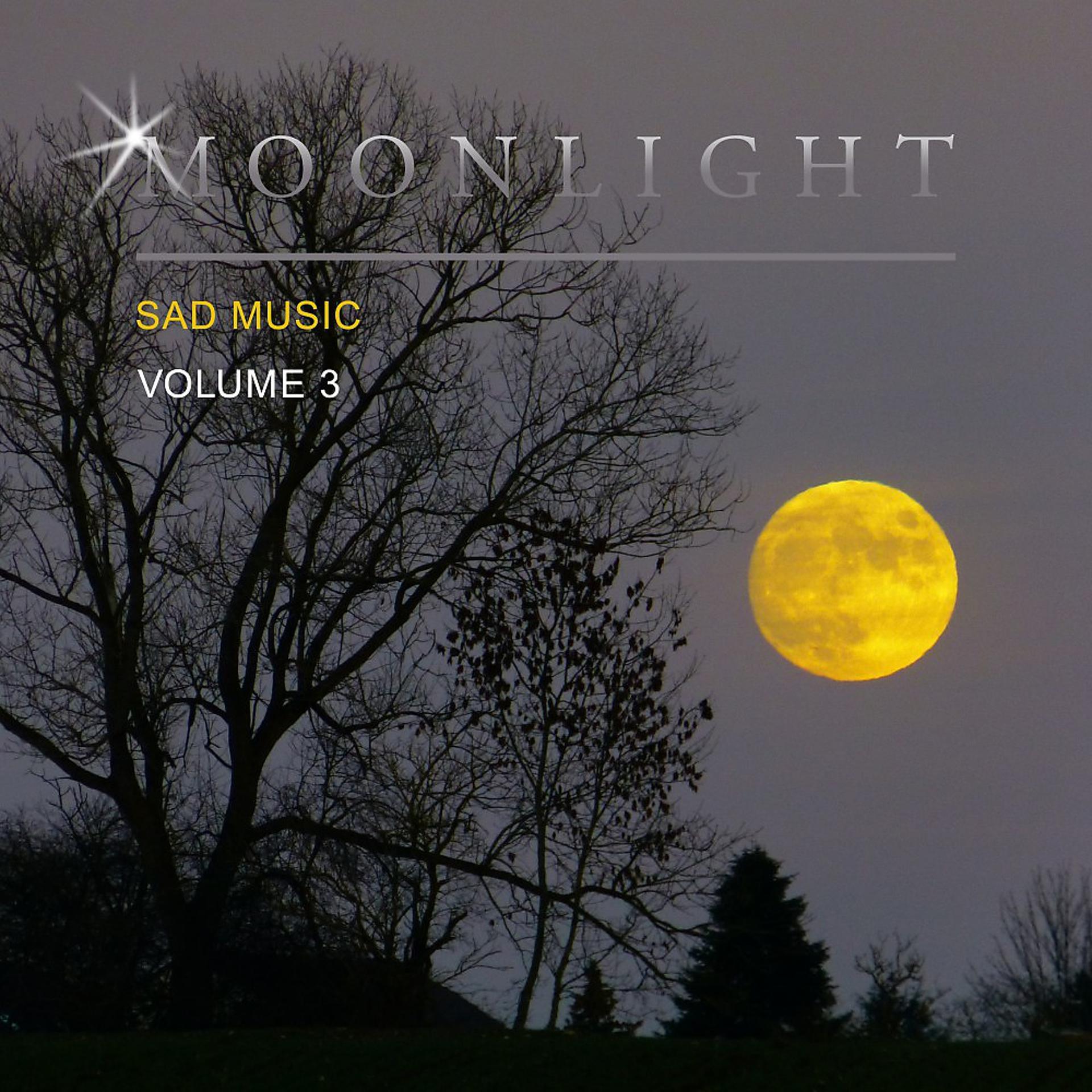 Постер альбома Moonlight Sad Music, Vol. 3