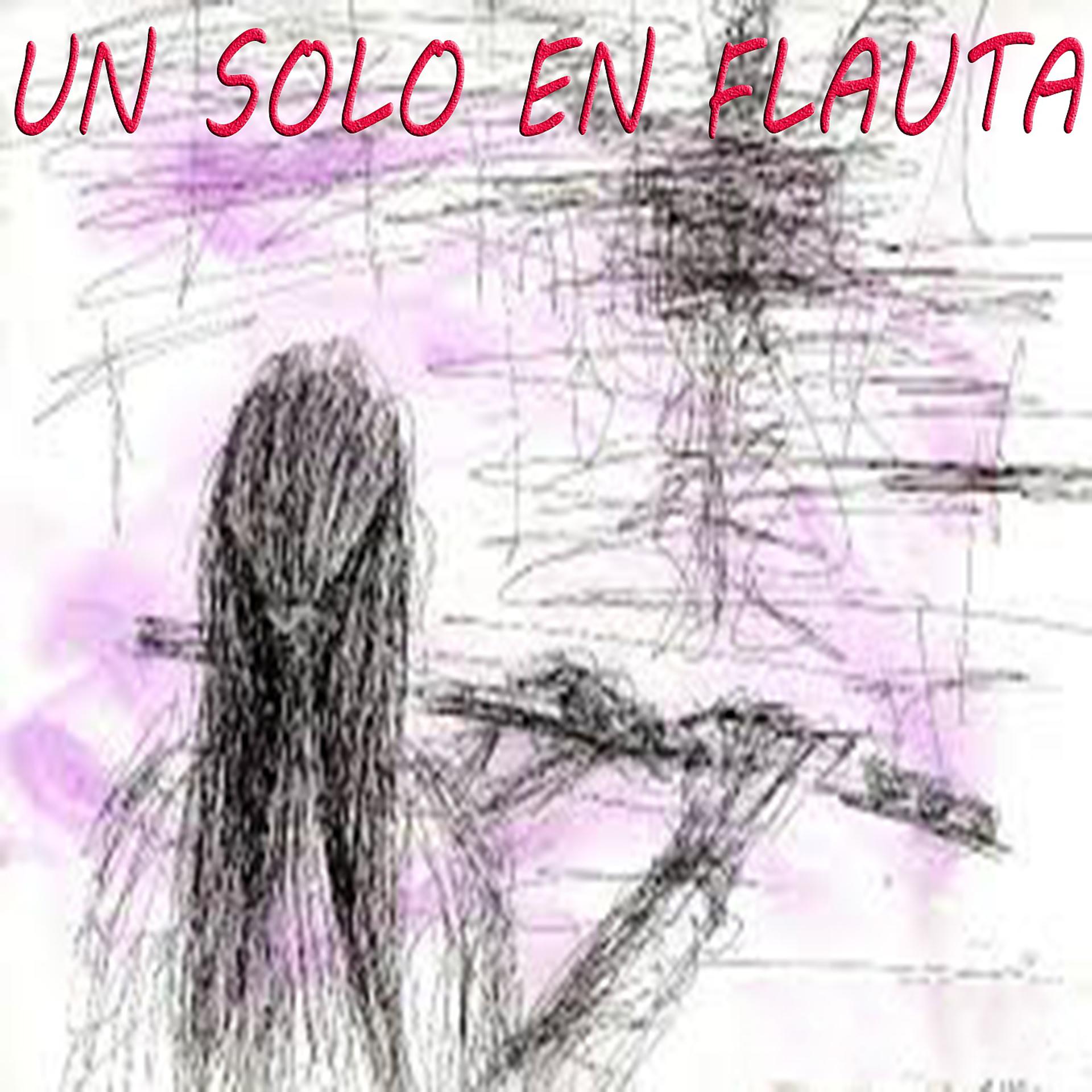 Постер альбома Un Solo en Flauta
