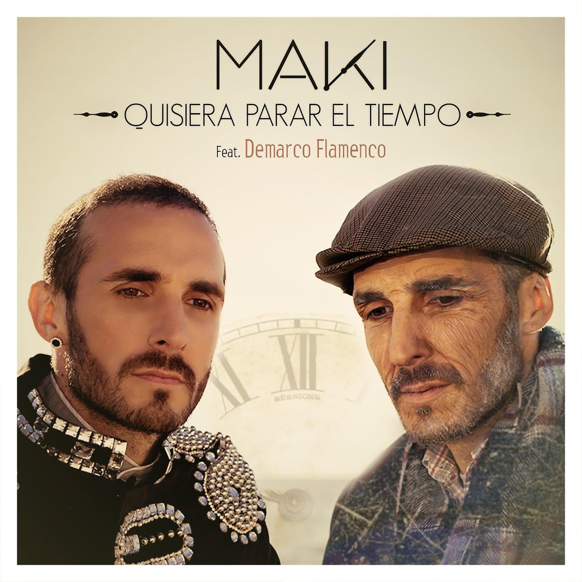 Постер альбома Quisiera parar el tiempo (feat. Demarco Flamenco)