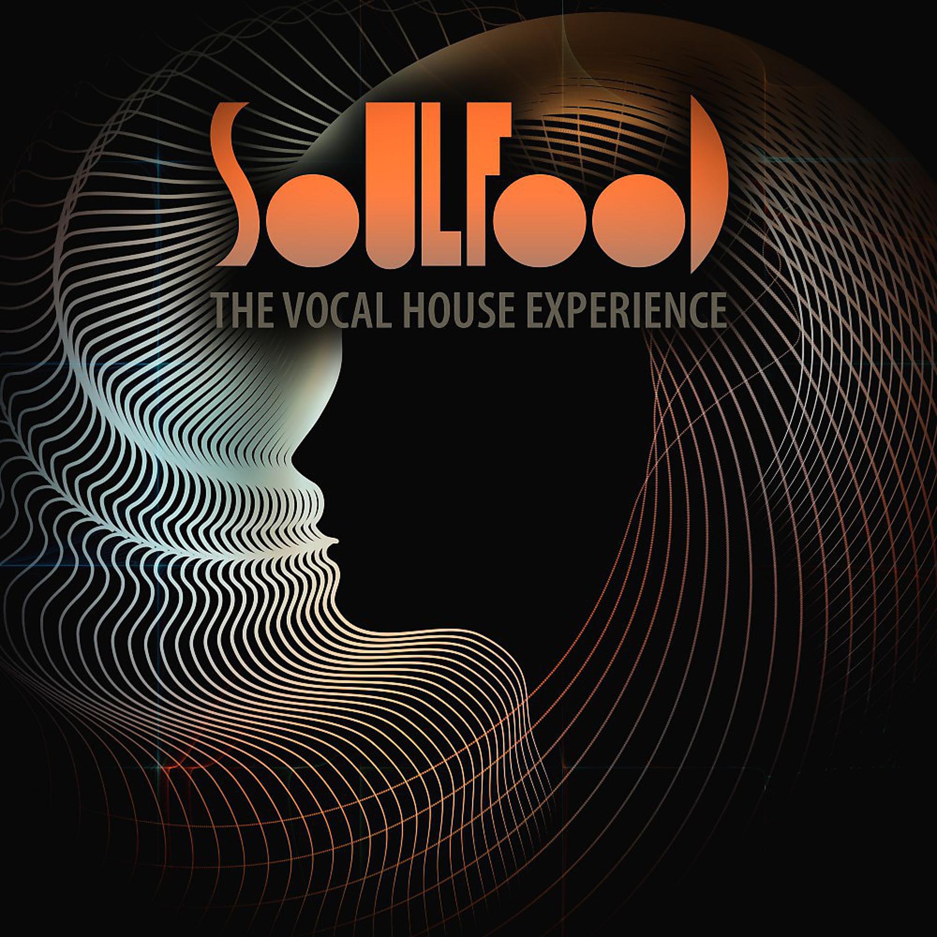Постер альбома Soulfood: The Vocal House Experience