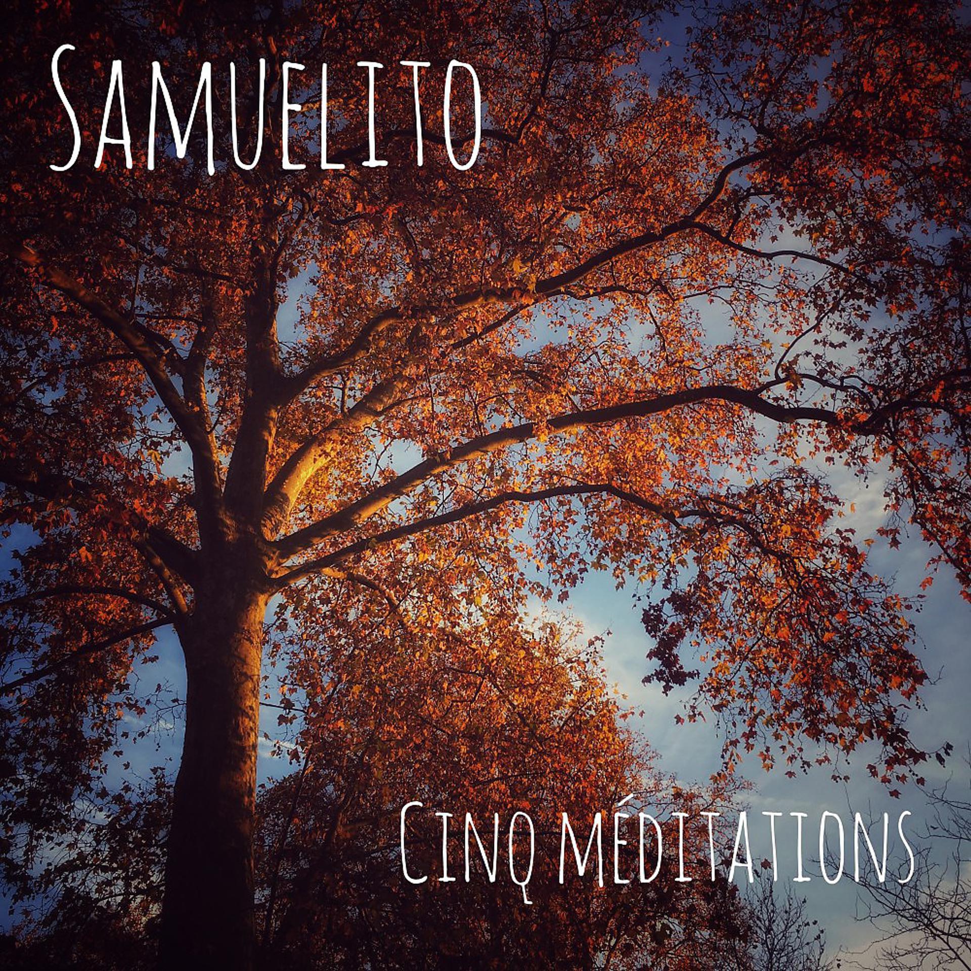 Постер альбома Cinq méditations