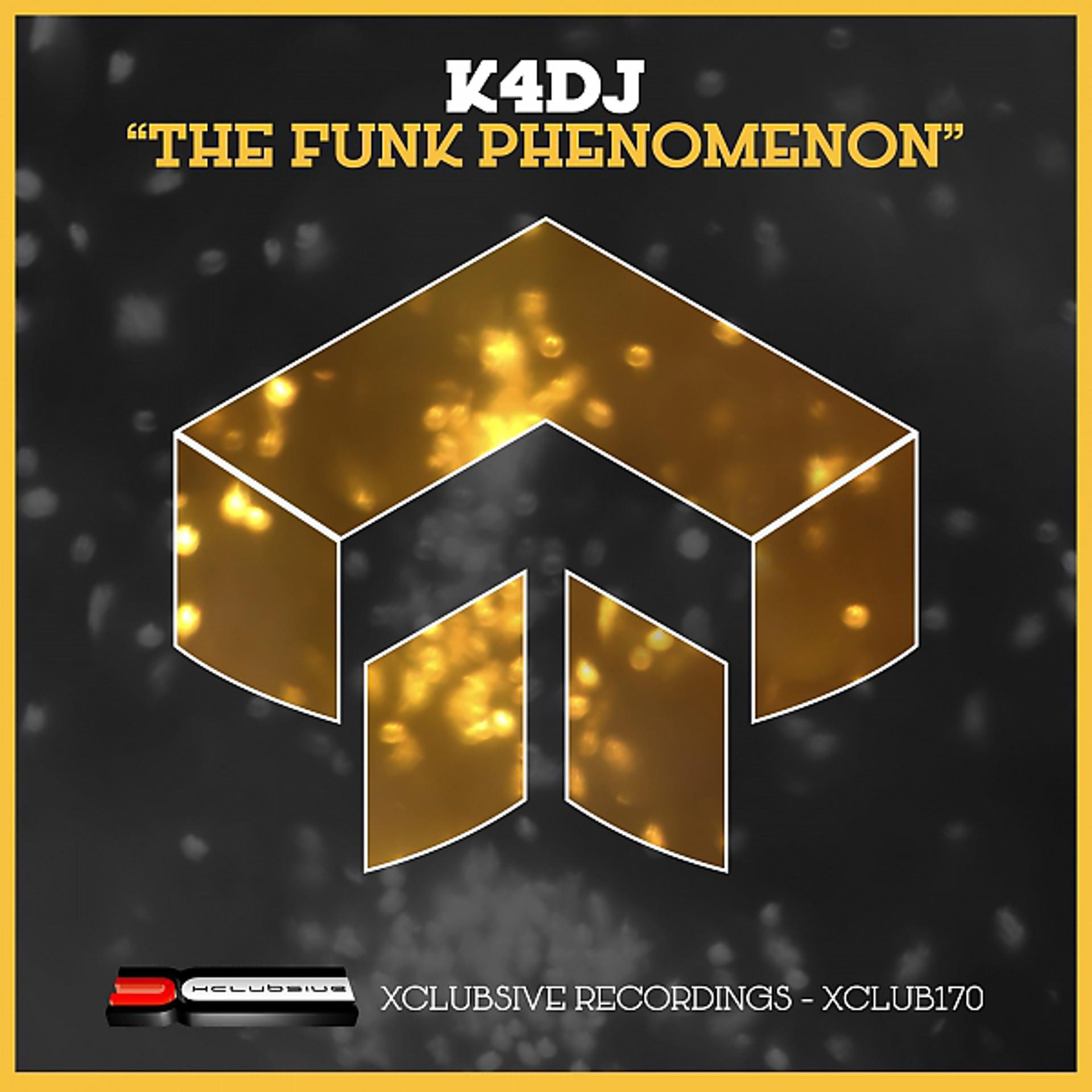 Постер альбома The Funk Phenomenon