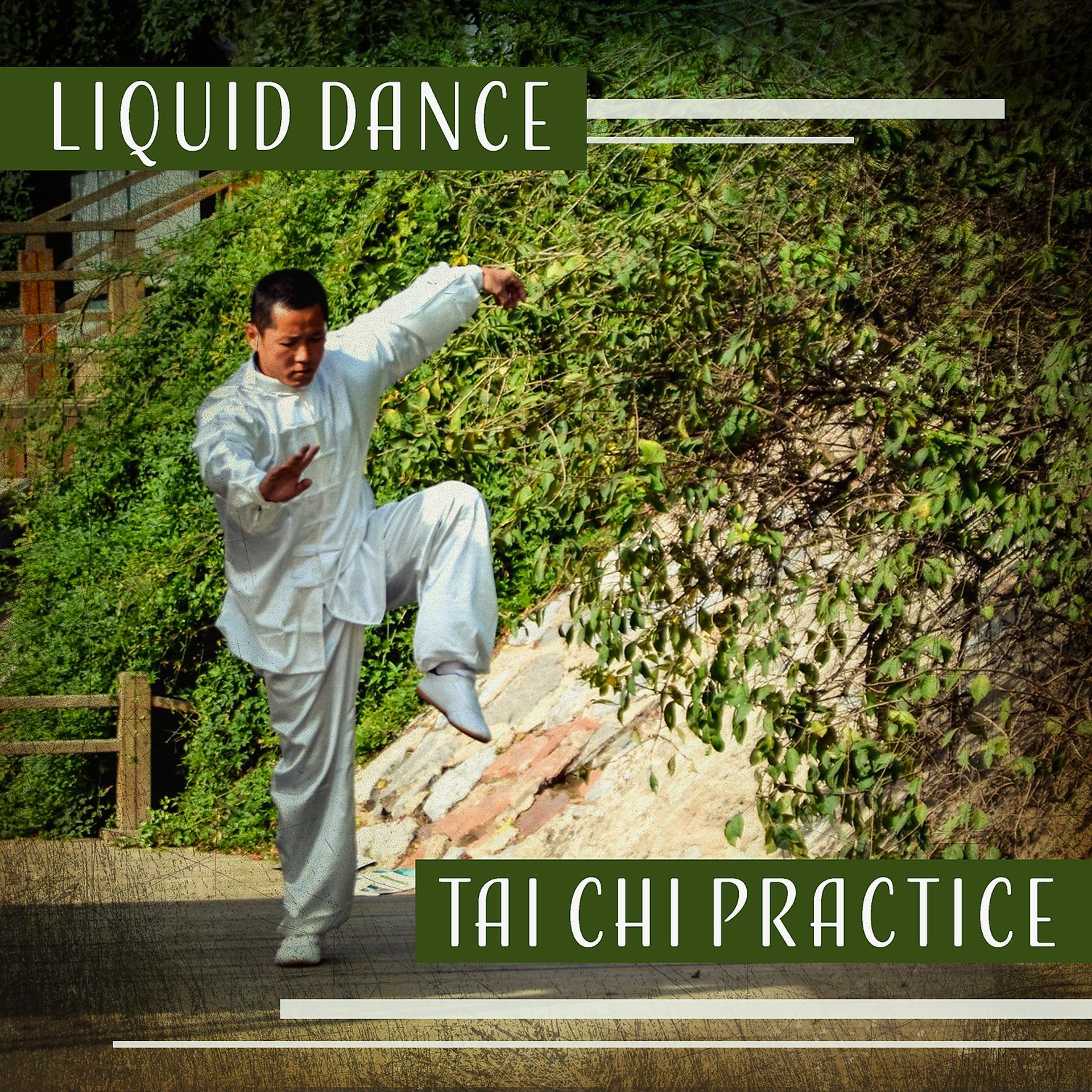 Постер альбома Liquid Dance – Tai Chi Practice: Slow Movements, Dealing with Stress, Calm Flow, Supreme Mind Relaxation, Improve Health