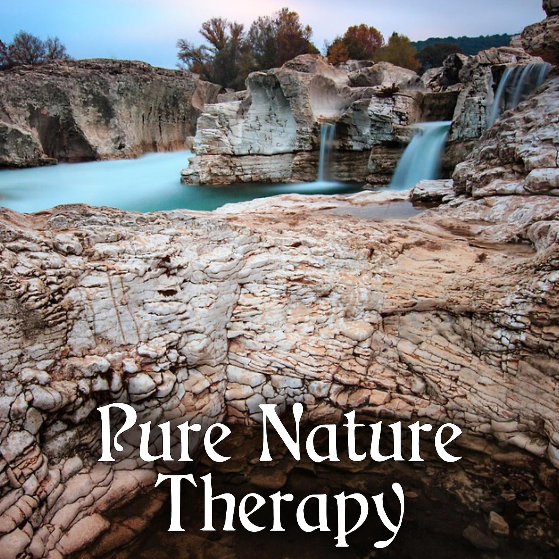 Постер альбома Pure Nature Therapy - Ambient Nature, Harmony Body & Soul, Free Spirit, Relax with Nature