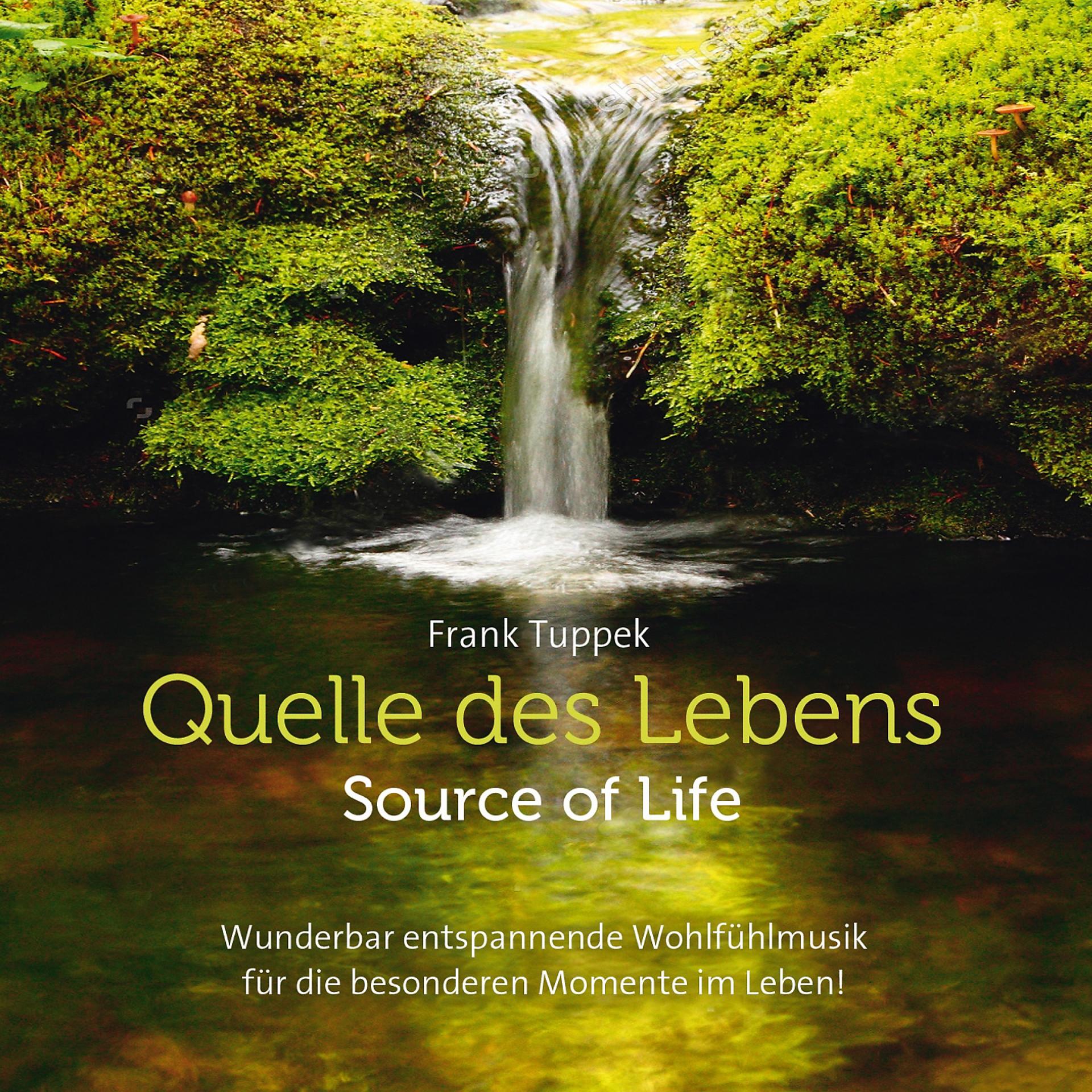 Постер альбома Quelle des Lebens