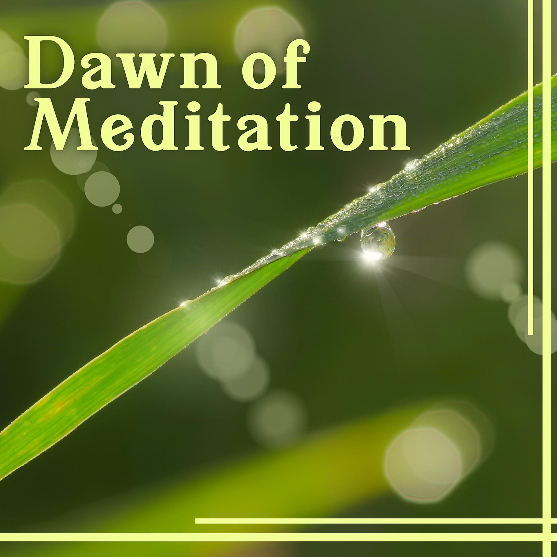 Постер альбома Dawn of Meditation: Serenity Mind, Inner Peace, Insight & Enlightenment, Liquid Zen Flow, Spiritual Experiences