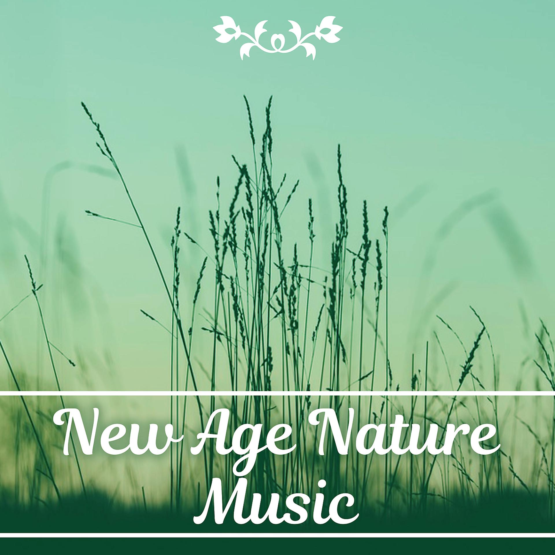 Постер альбома New Age Nature Music