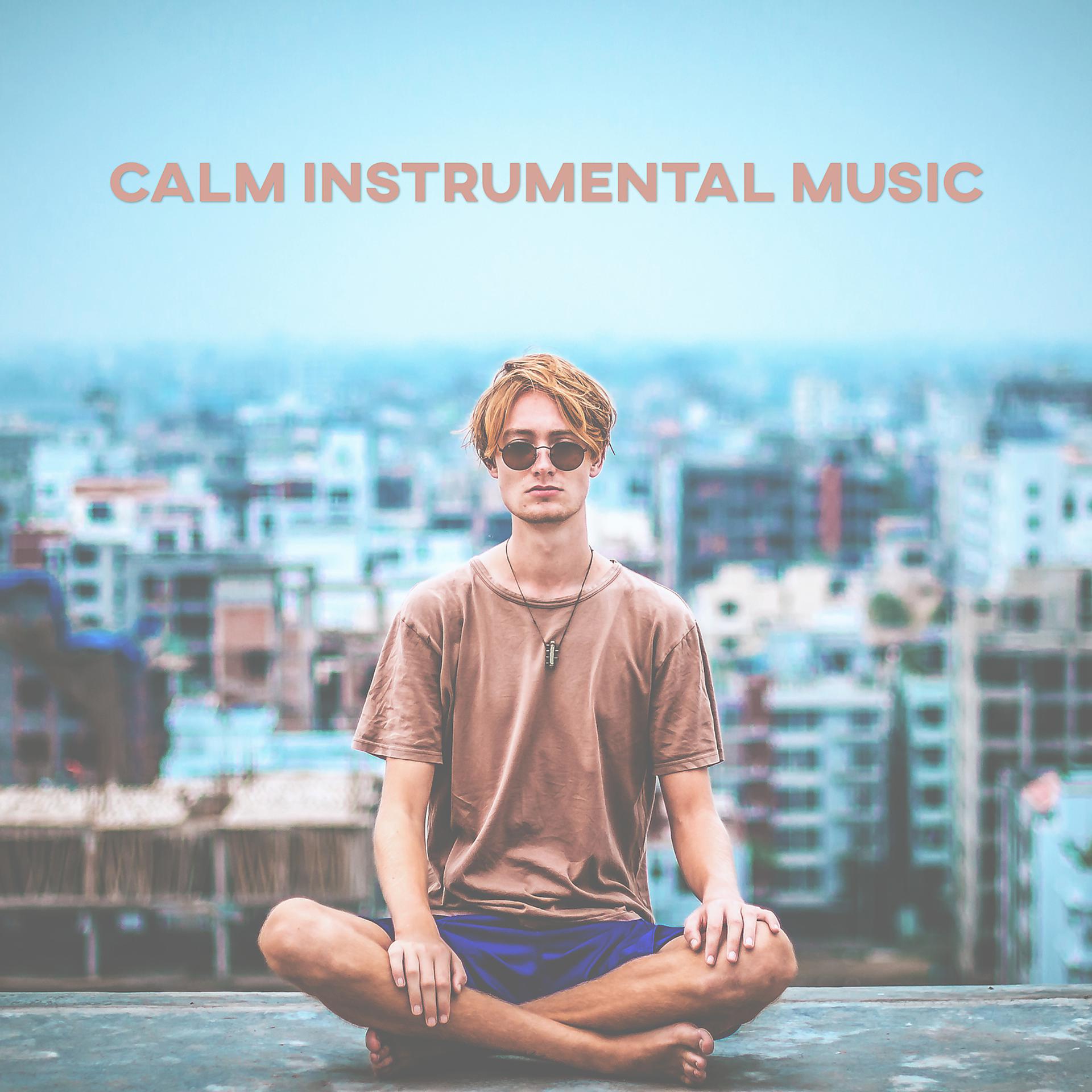 Постер альбома Calm Instrumental Music – Nature Music for Meditation, Yoga Training, Relaxation, Inner Silence, Chakra Balance