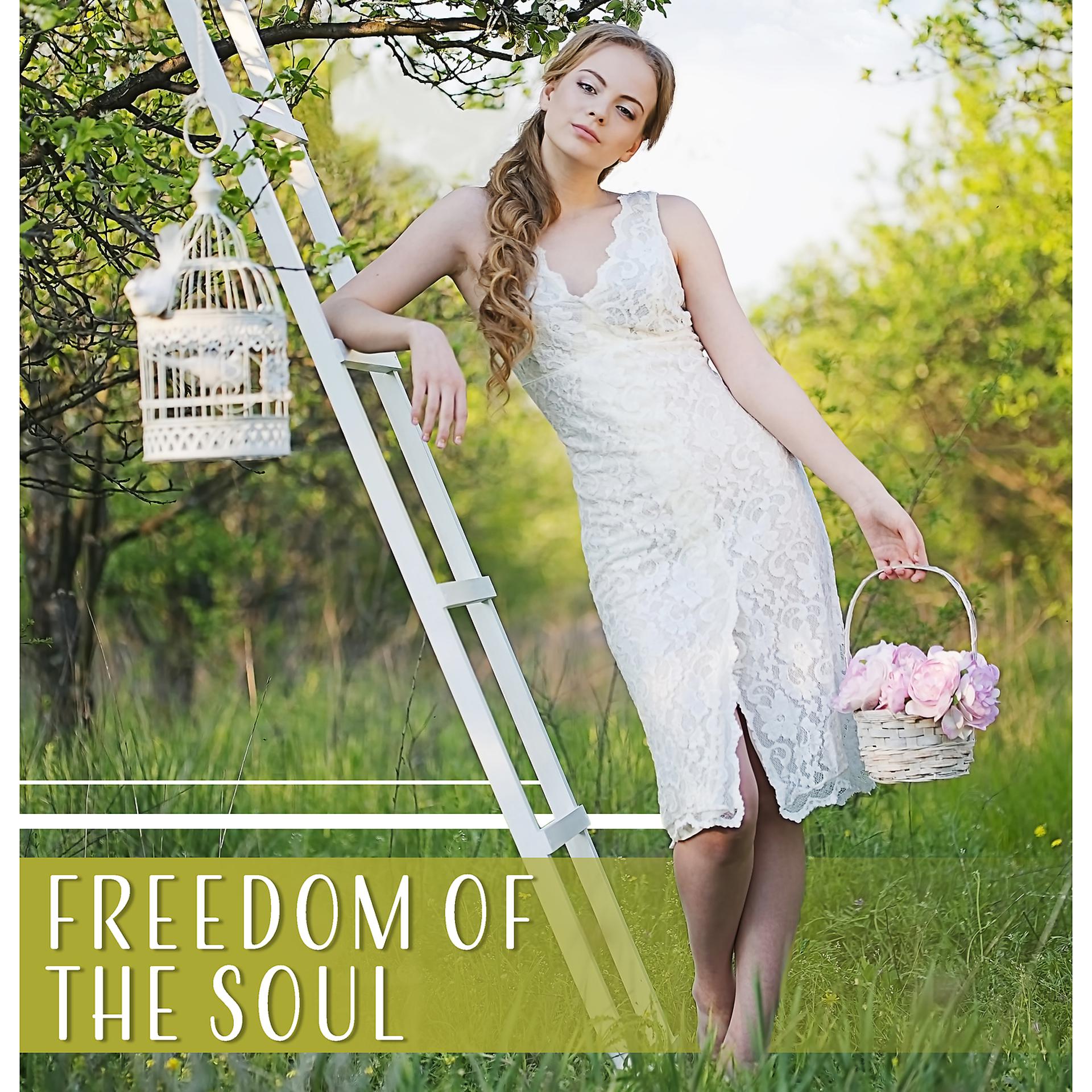 Постер альбома Freedom of the Soul: Positive Feedback, Relaxing Music, Nature’s Gift, Mind Liberty, Emotional Trip, Fine Mood, Inner Harmony