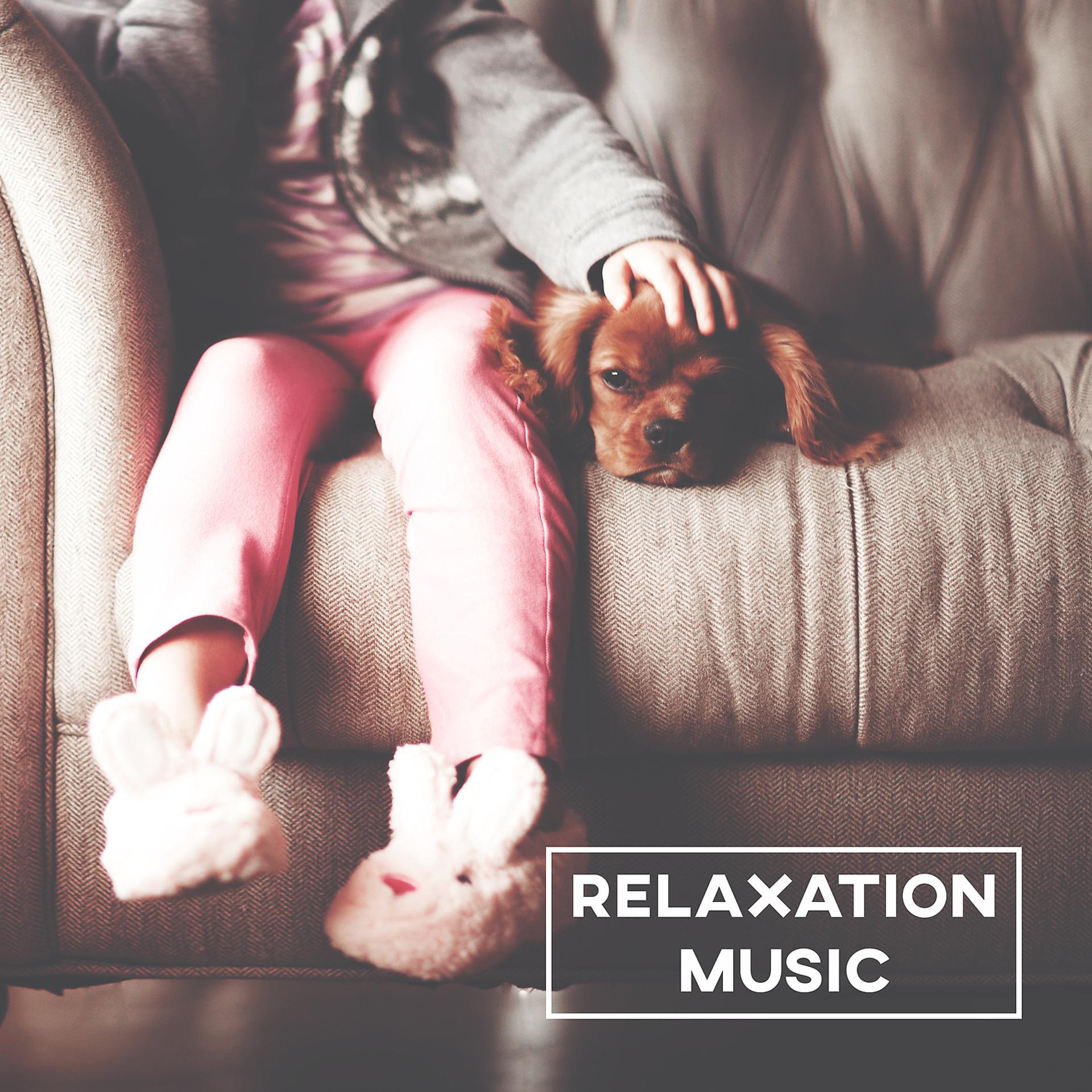 Постер альбома Relaxation Music – Sounds for Rest, Famous Composers After Work, Calm Songs, Bach, Beethoven