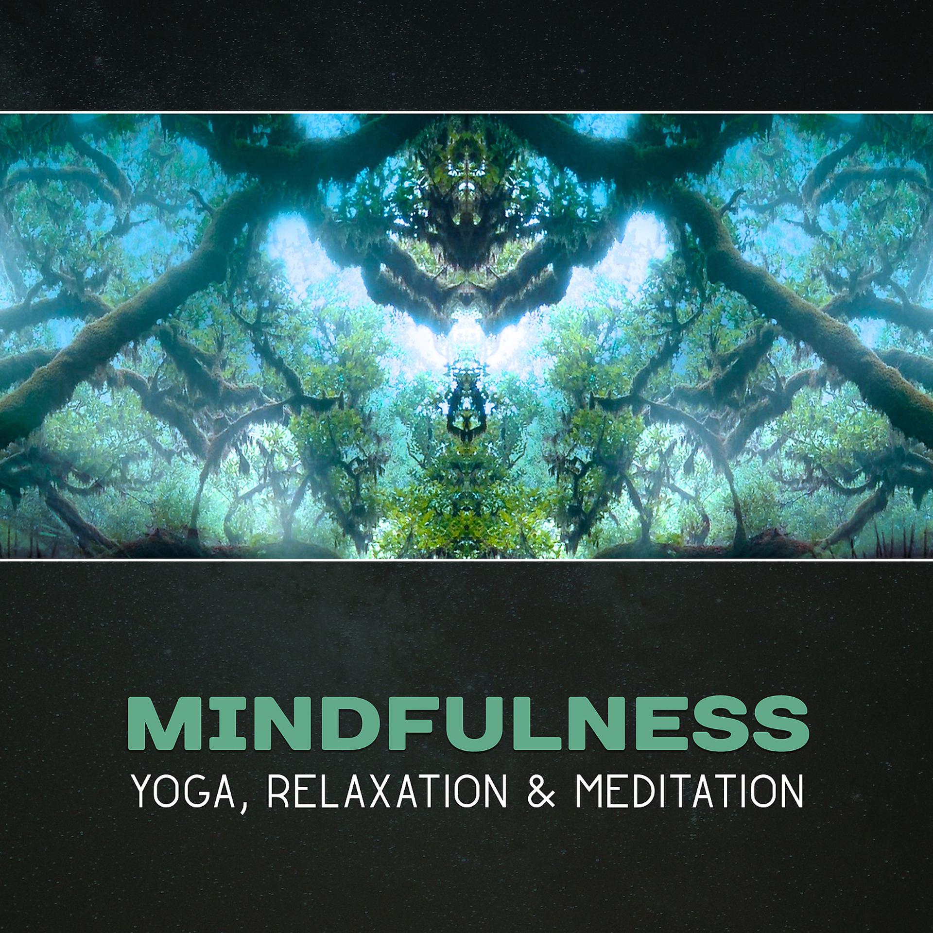 Постер альбома Mindfulness: Yoga, Relaxation & Meditation