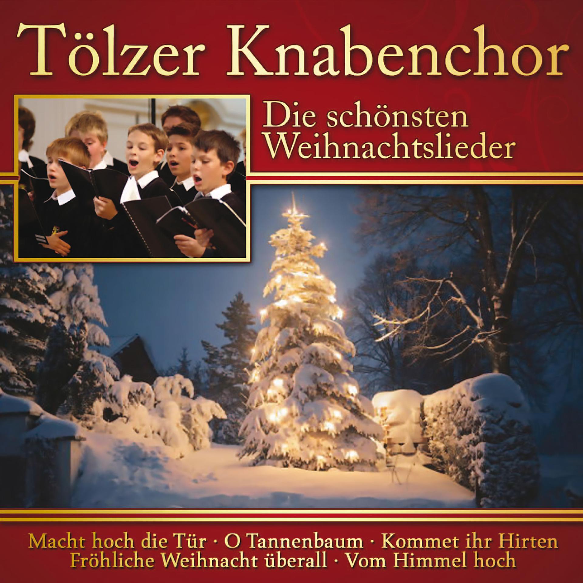 Постер альбома Die schönsten Weihnachtslieder: Tölzer Knabenchor