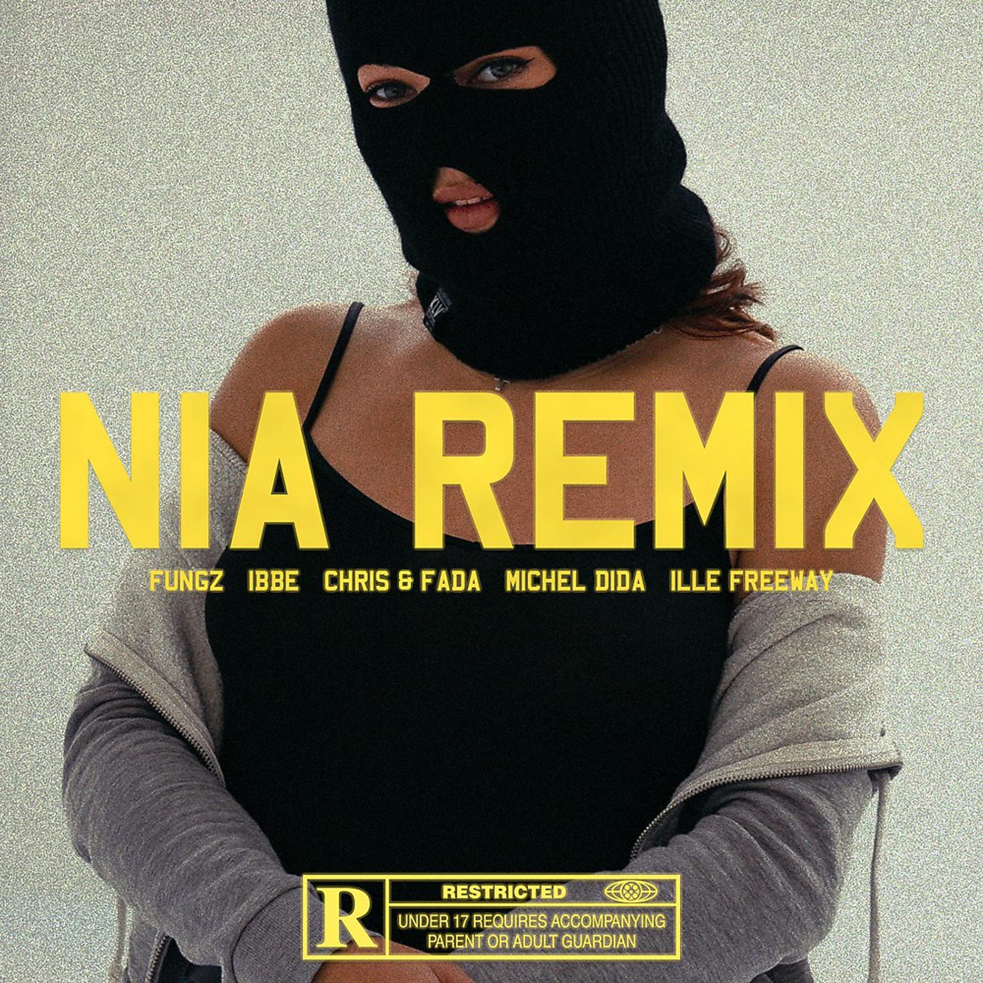 Постер альбома NIA (Remix)