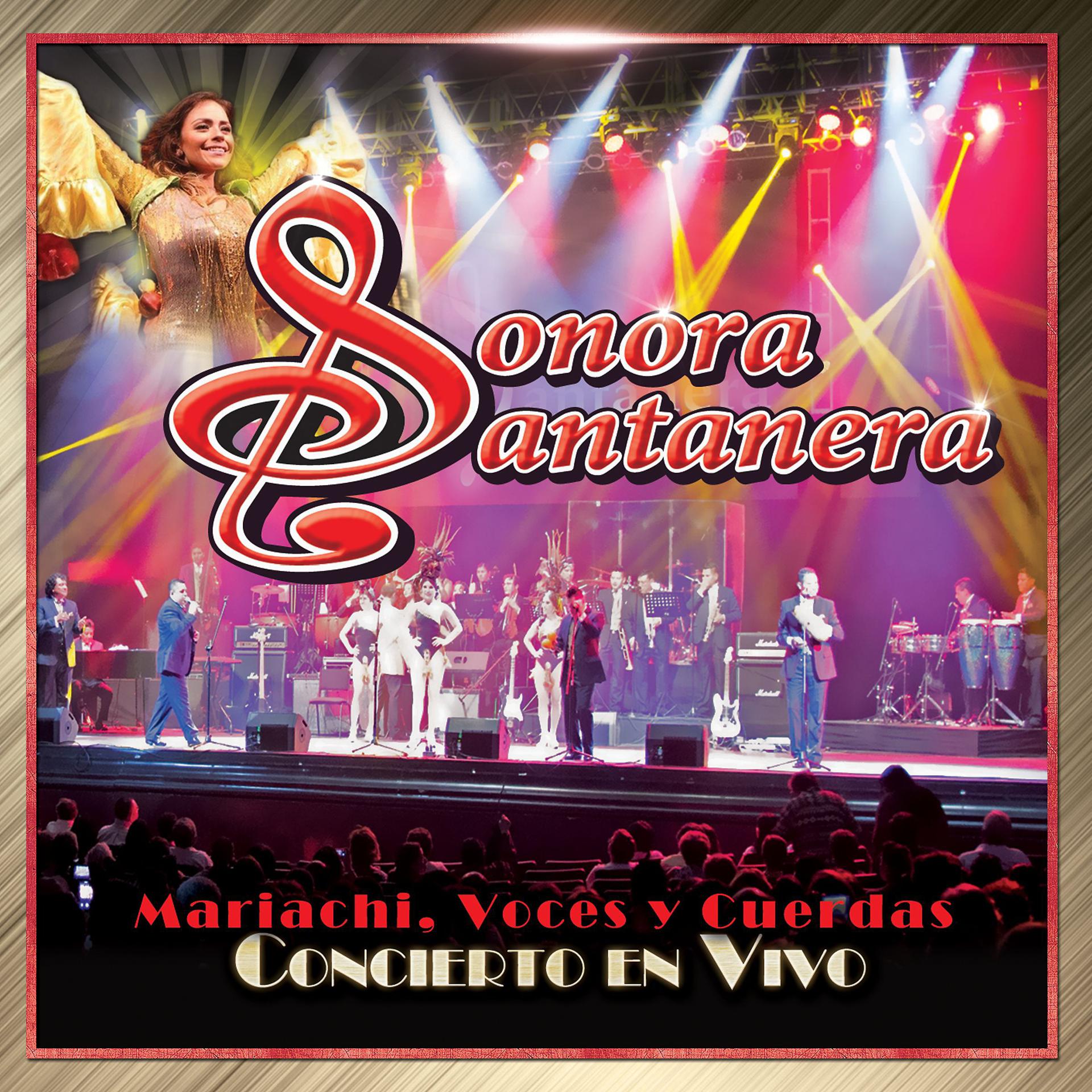 Постер альбома Mariachi, Voces y Cuerdas (Concierto En Vivo)