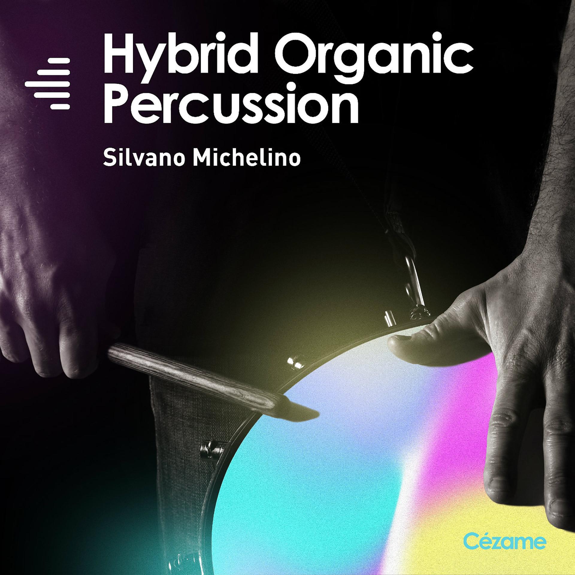 Постер альбома Hybrid Organic Percussion