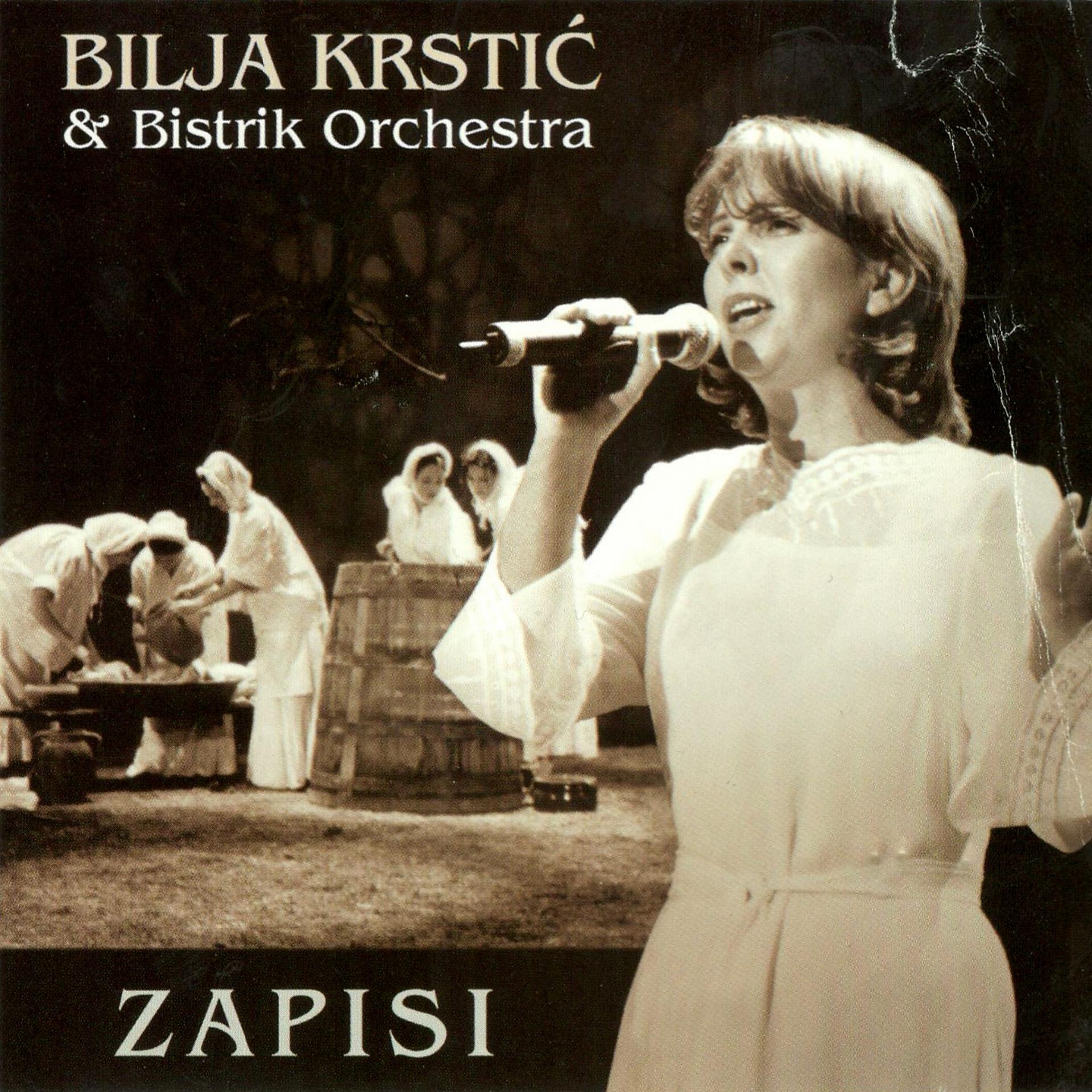 Постер альбома Zapisi