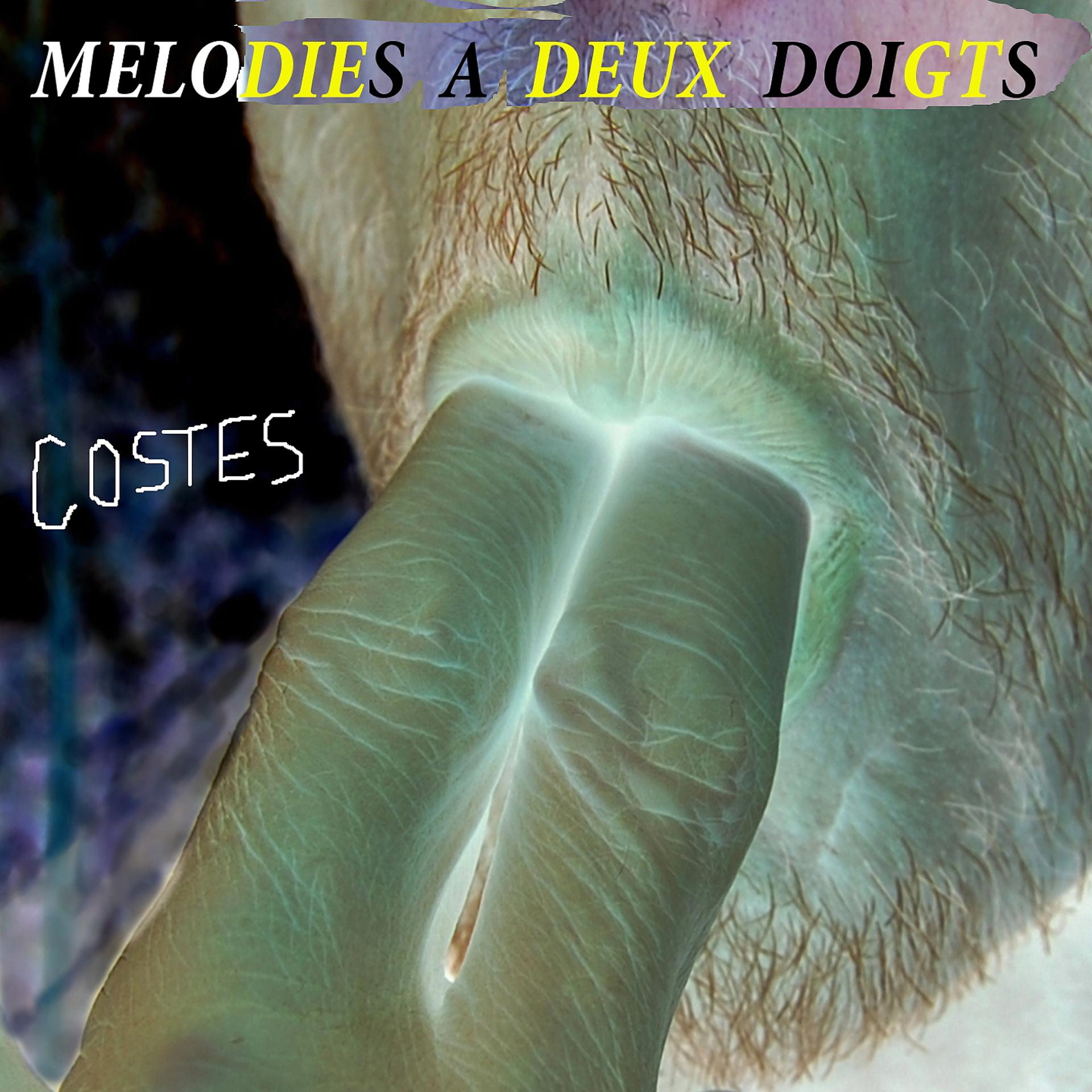 Постер альбома Mélodies à deux doigts