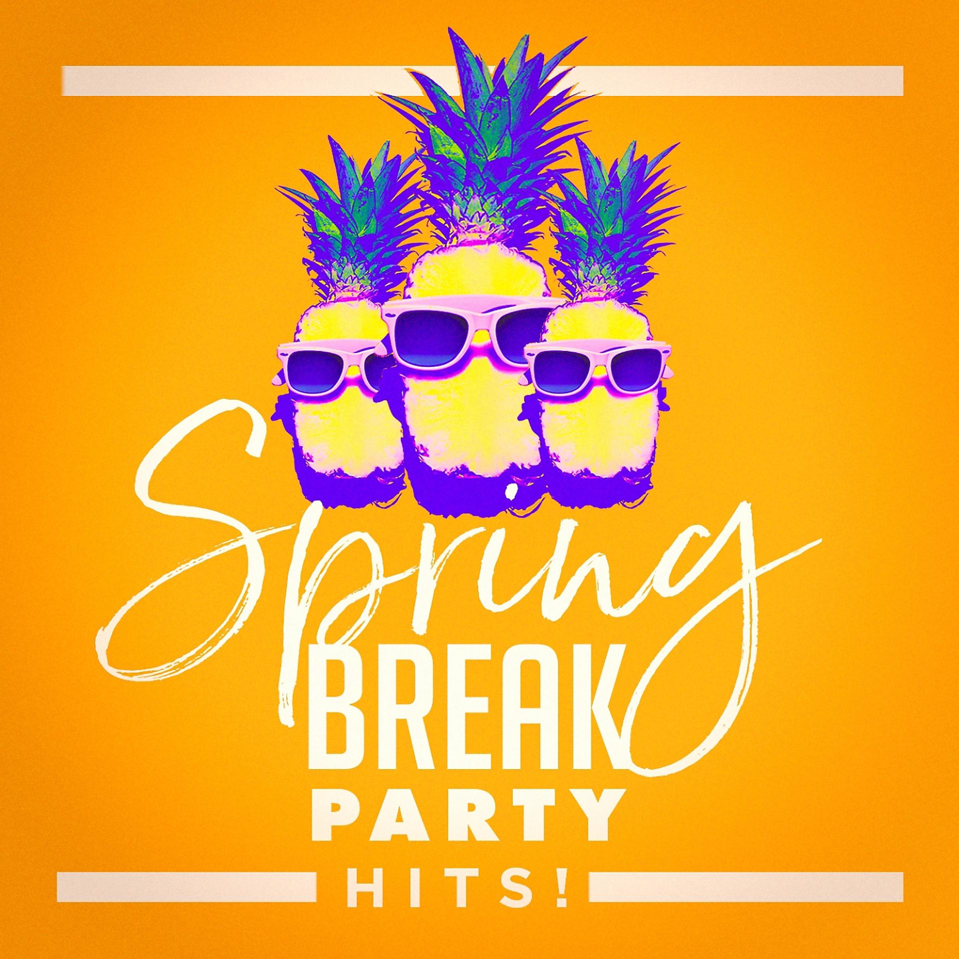 Постер альбома Spring Break Party Hits!