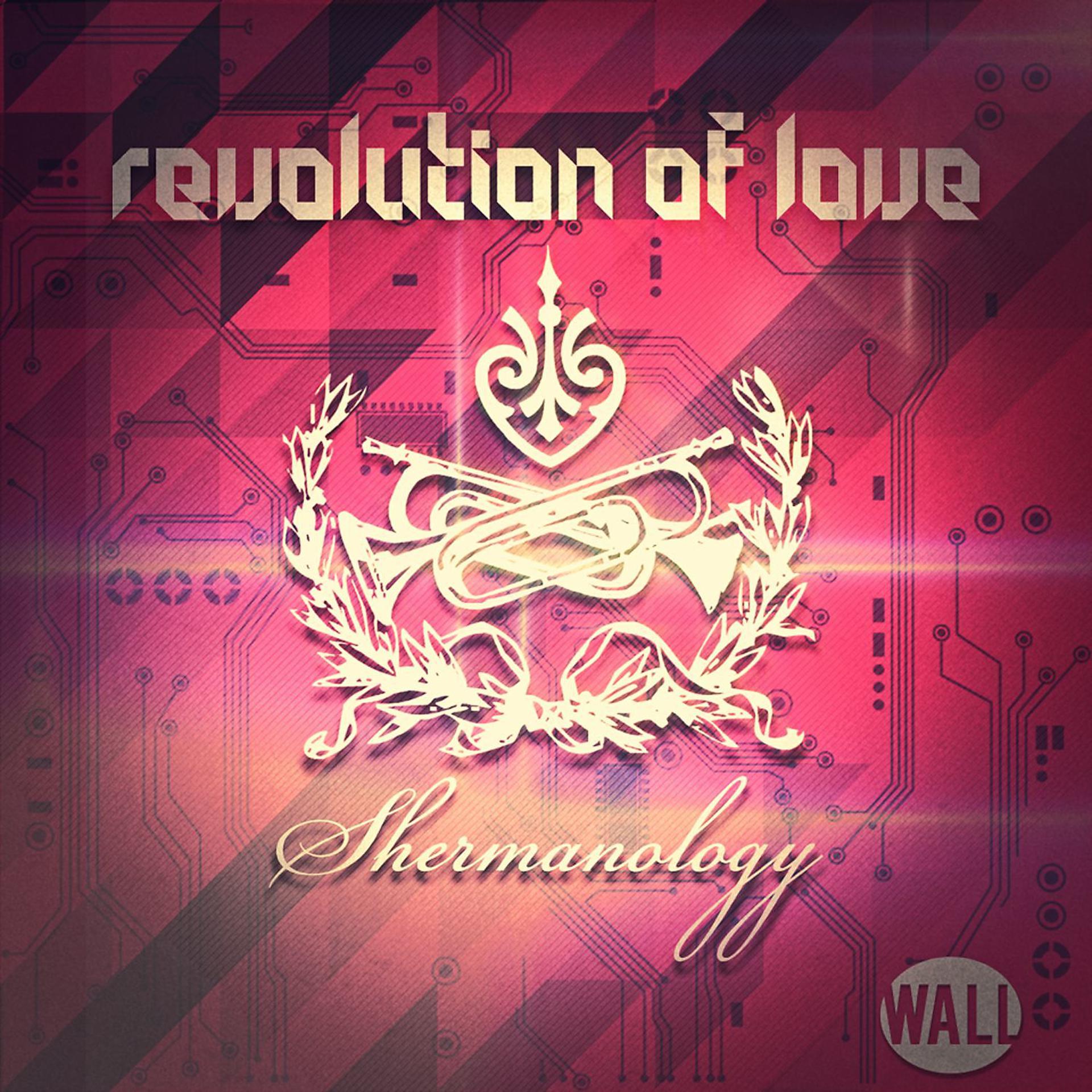 Постер альбома Revolution Of Love (Radio Edit)