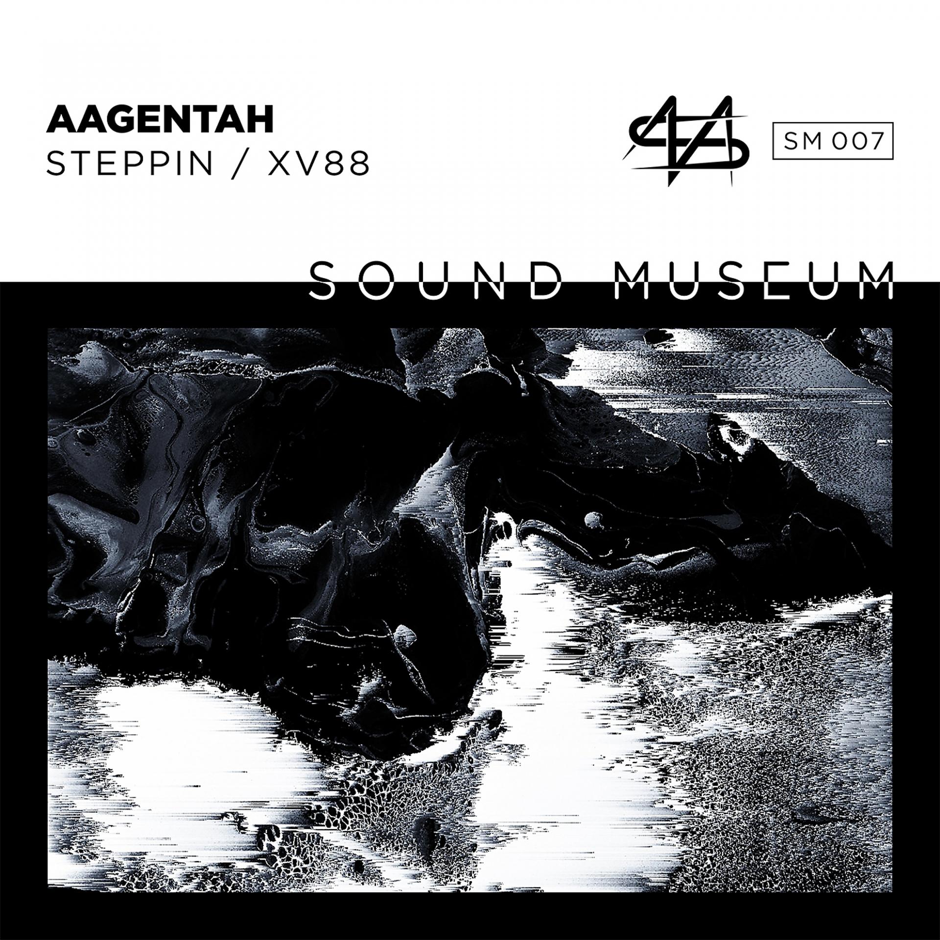 Постер альбома Steppin / XV88