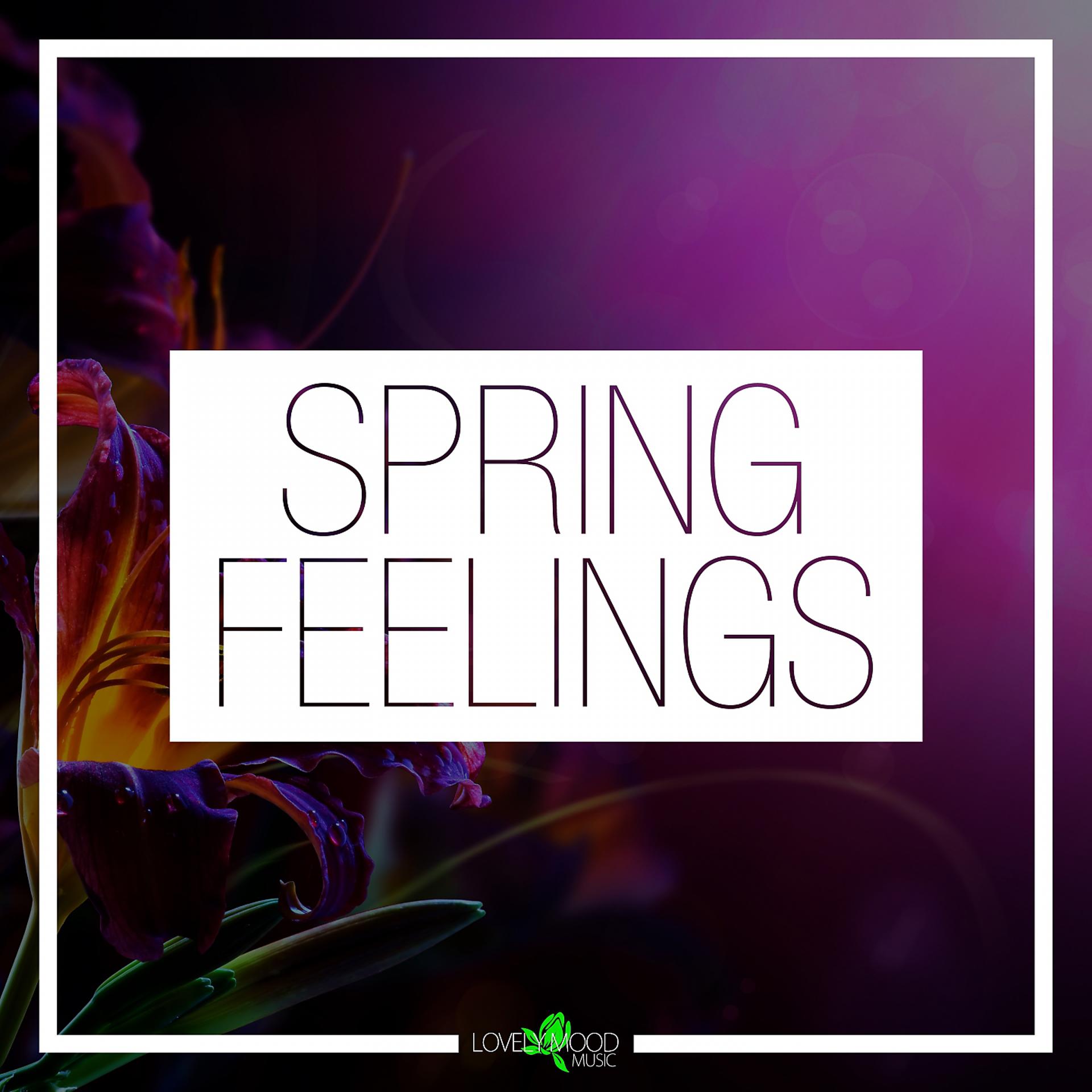 Постер альбома Spring Feelings