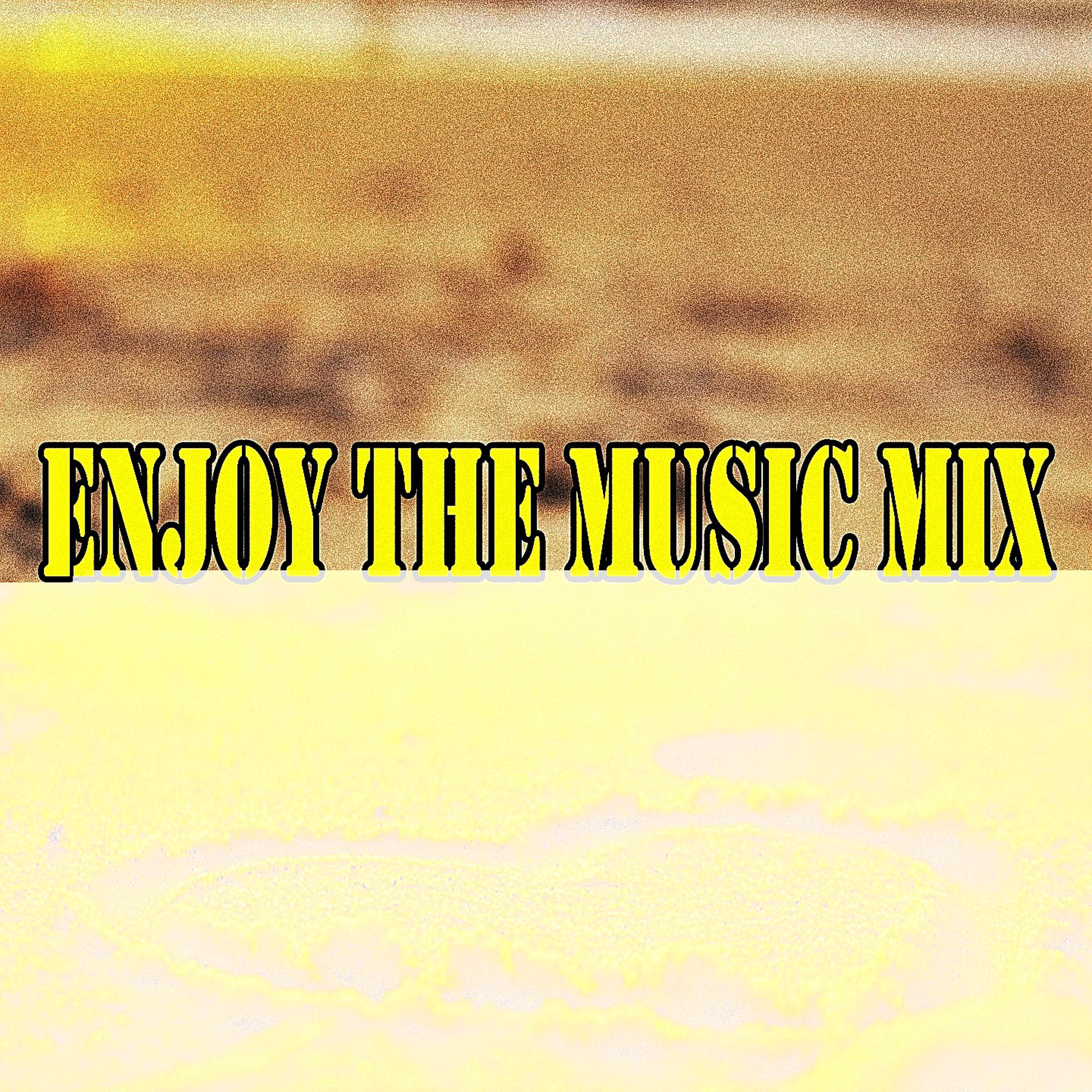 Постер альбома Enjoy the Music Mix
